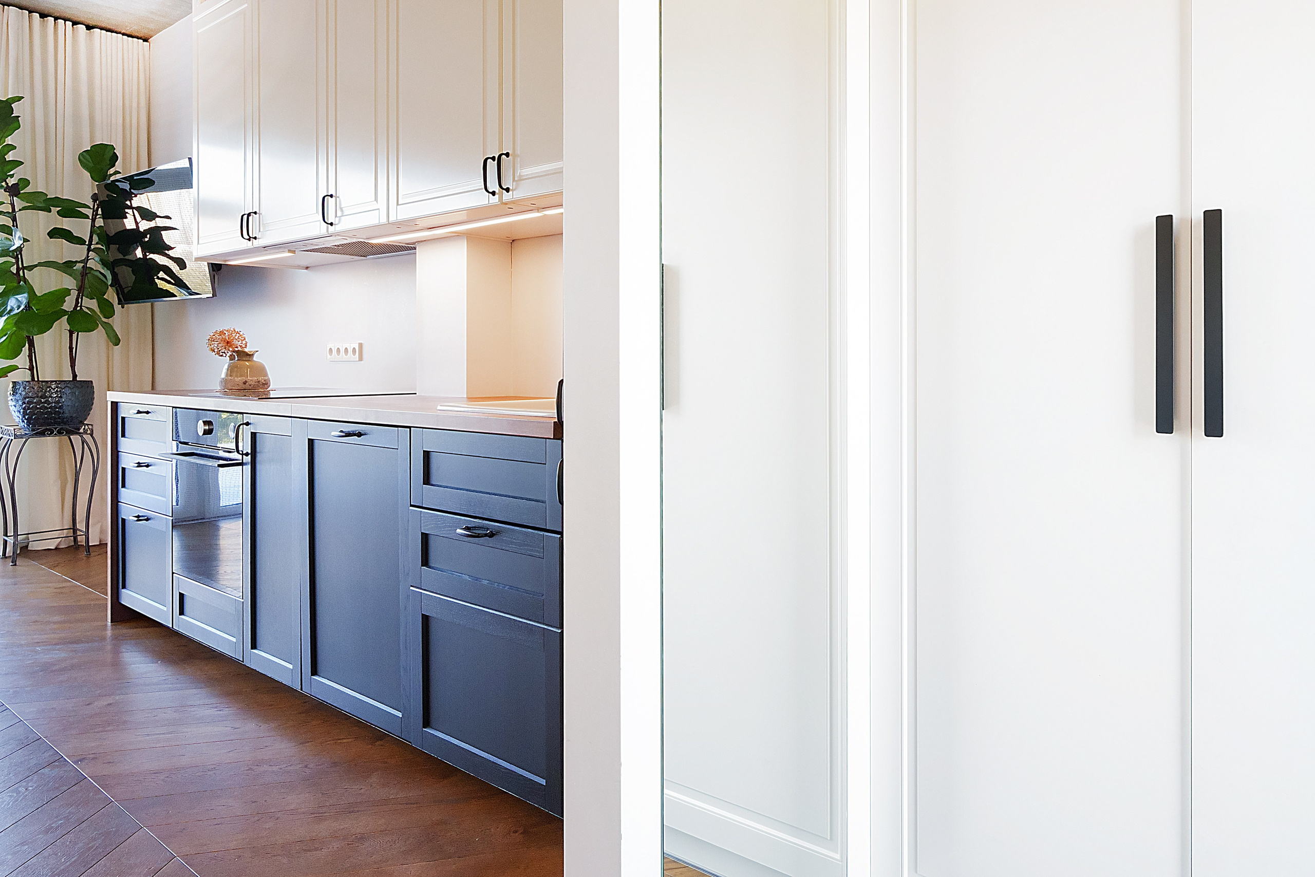 Ginetiškės, Pakonių g. Elina Sapiega fotografė Vilniuje