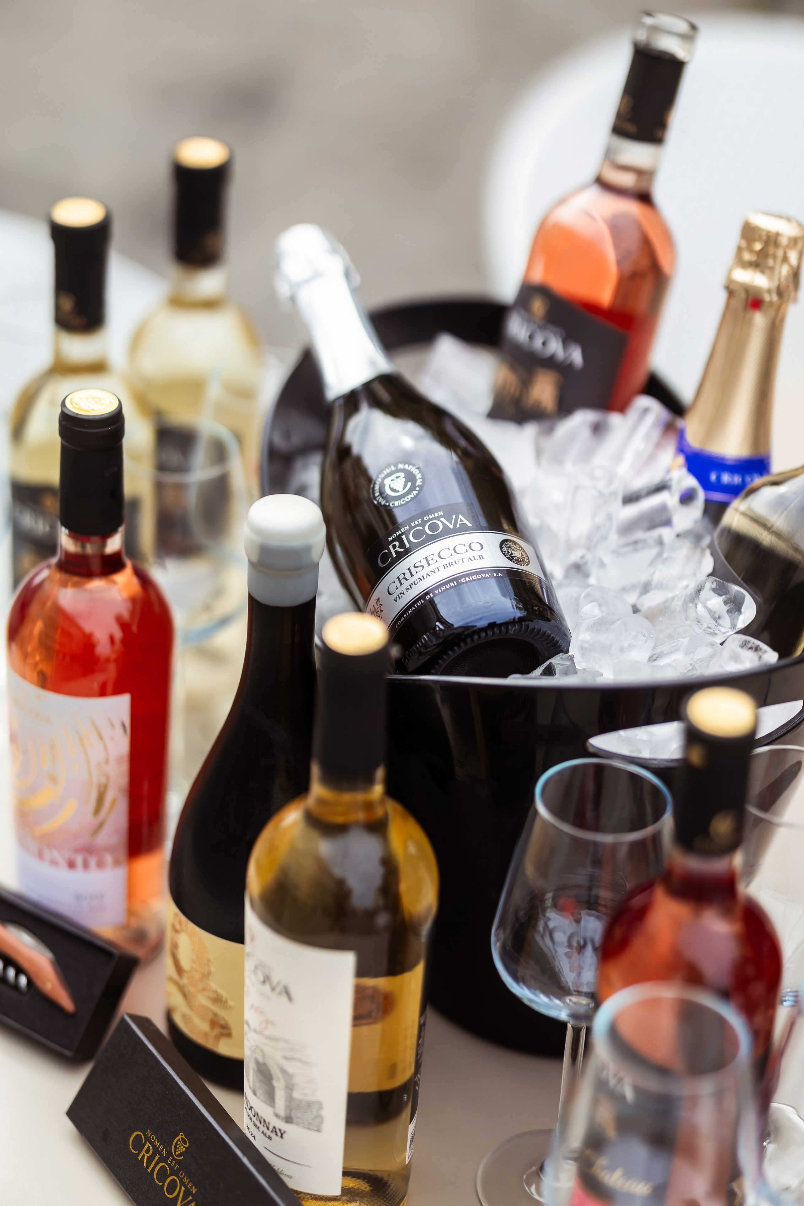 Taste Busters 1. Marius Ciocan