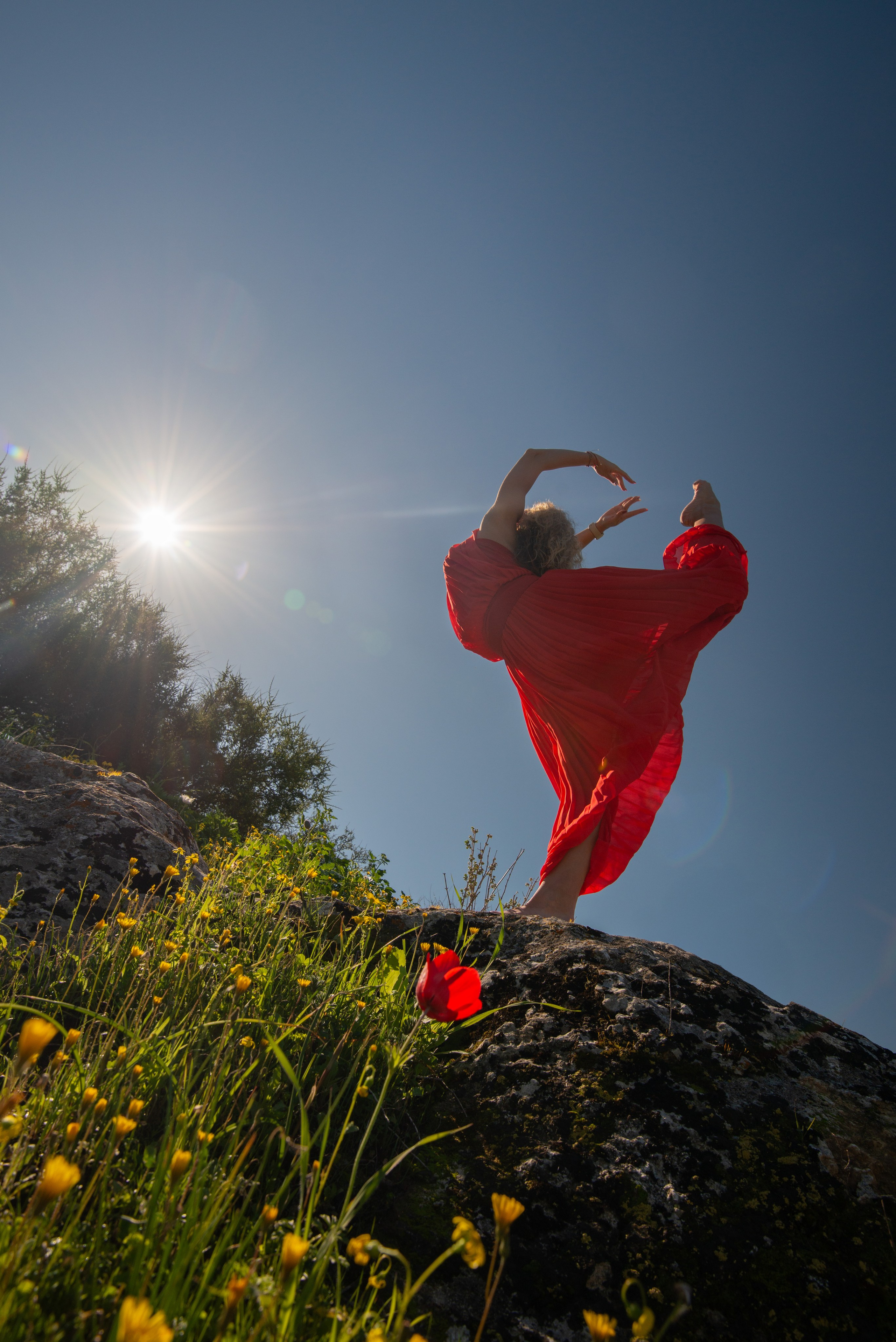 Blooming photoshoot. Dina Solomina | Photographer in Israel