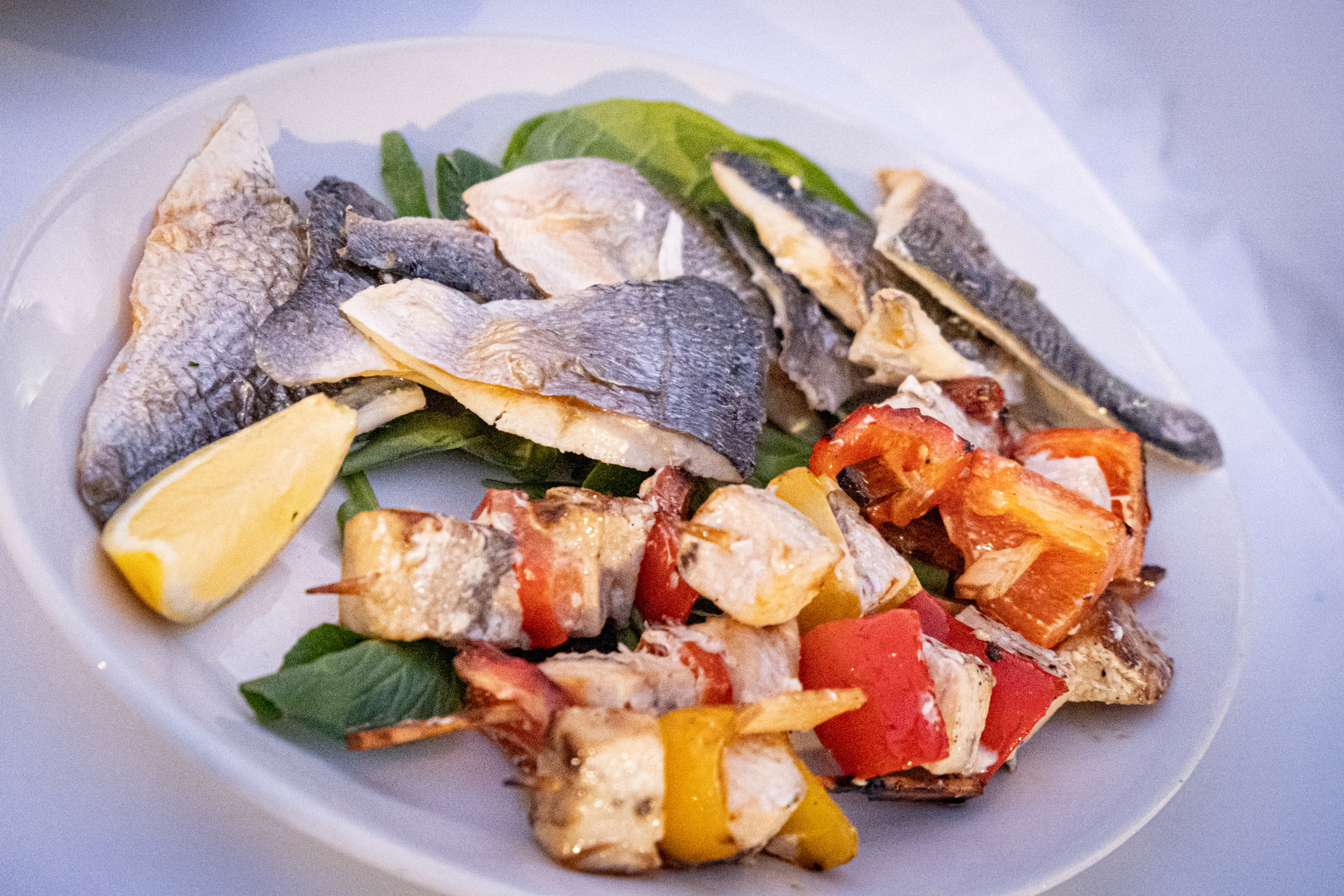 Gala dinner. Photographer in Cyprus Lena Kirilishina