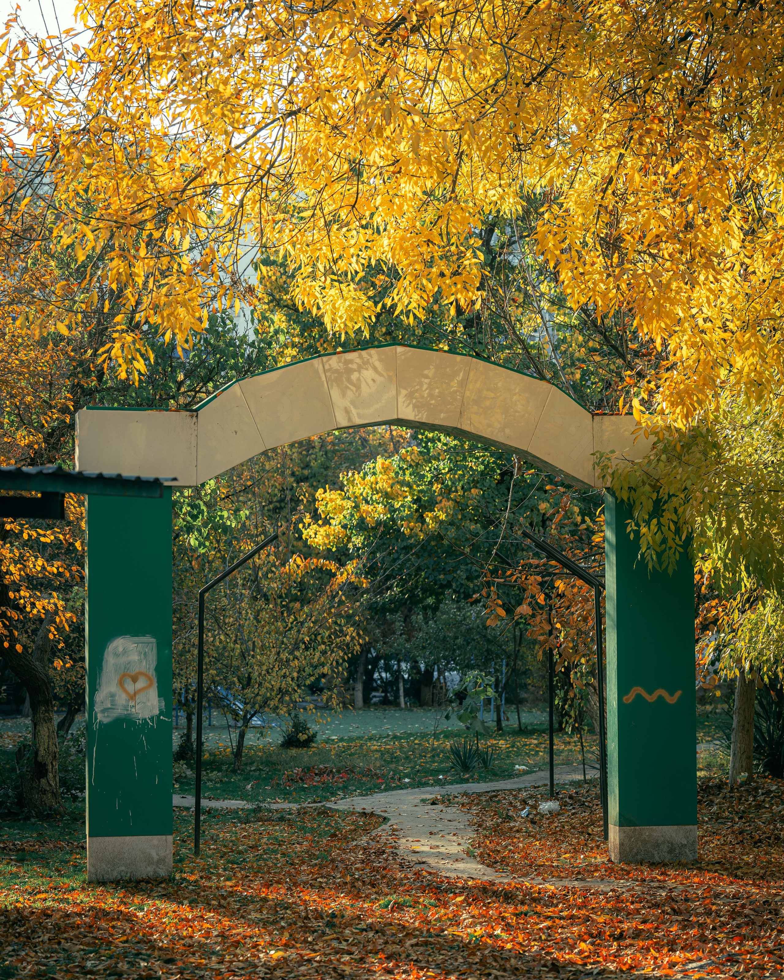 Ташкентская осень. Георгий Намазов | Фотограф в Ташкенте