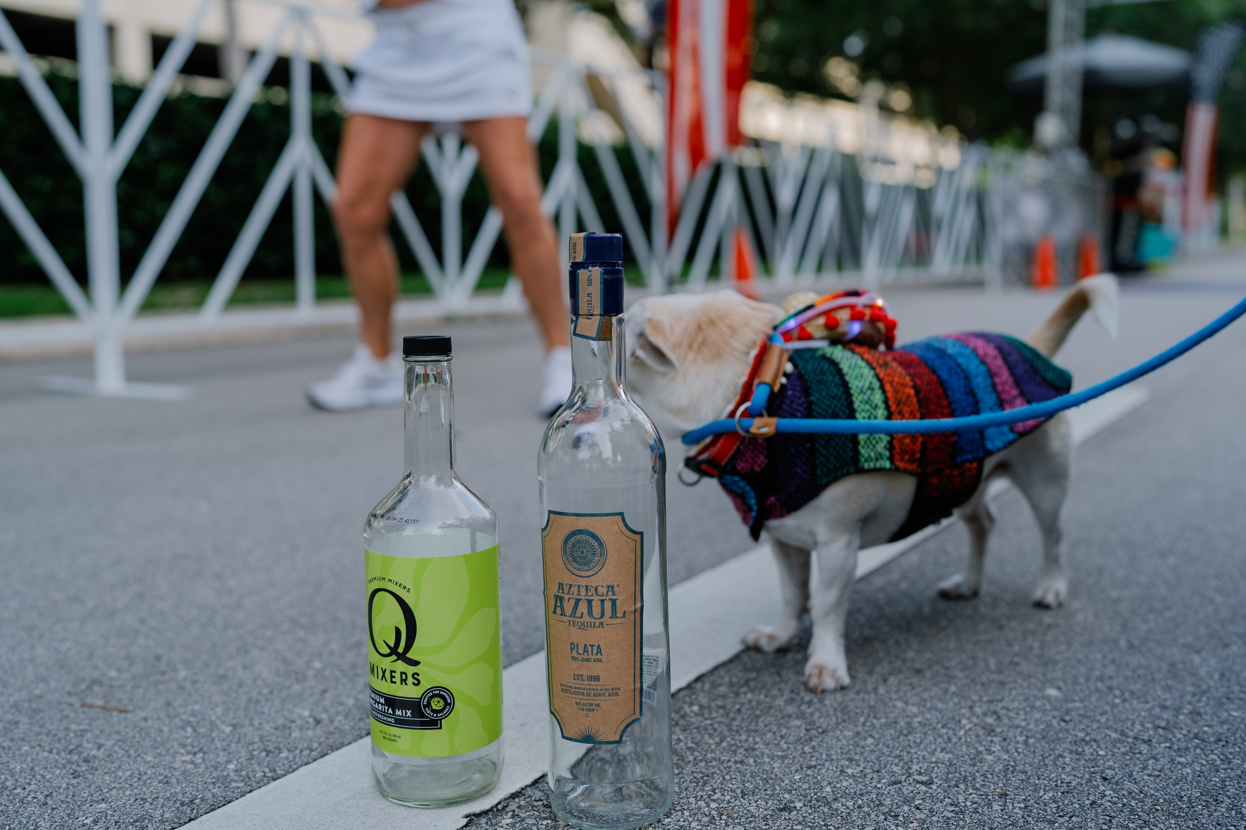 CINCO de DRINKO 5k RUN. ФОТОГРАФ ФЛОРИДА МАЙАМИ