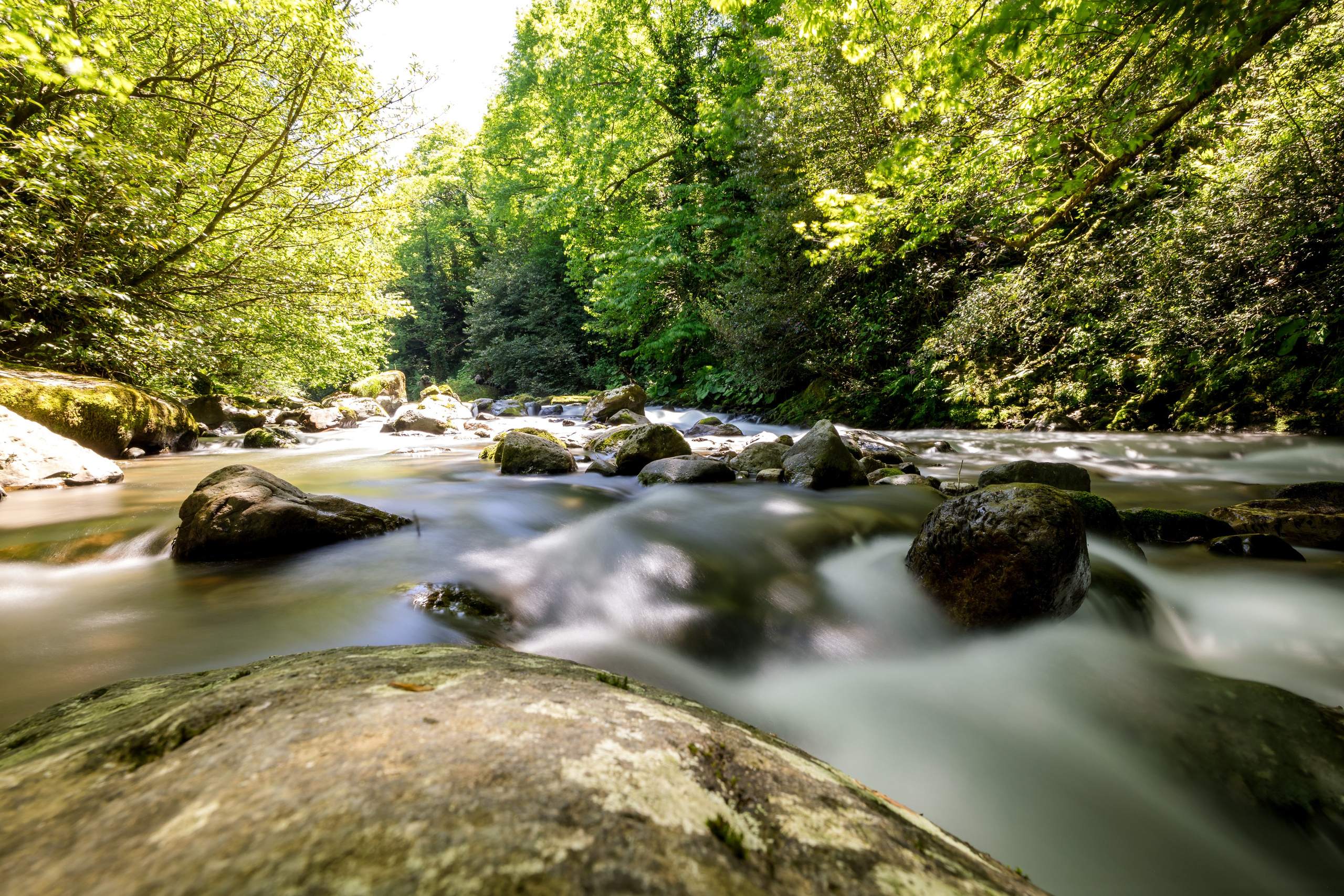 Barel Corporation — Batumi Georgia. AMIR BUCHNIK PHOTOGRAPHER