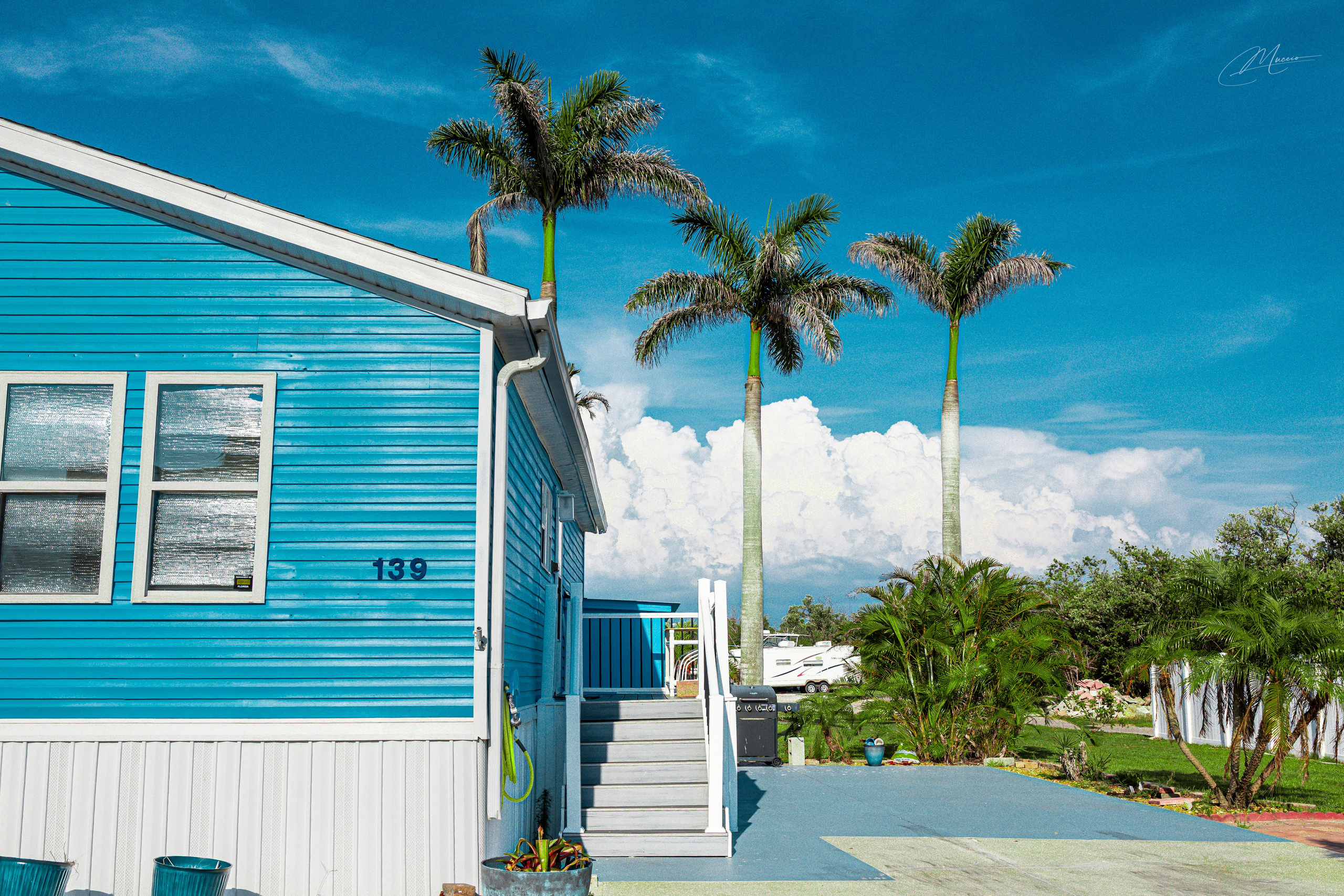 Florida Man — Fort Myers Walkabout. Out and About 239