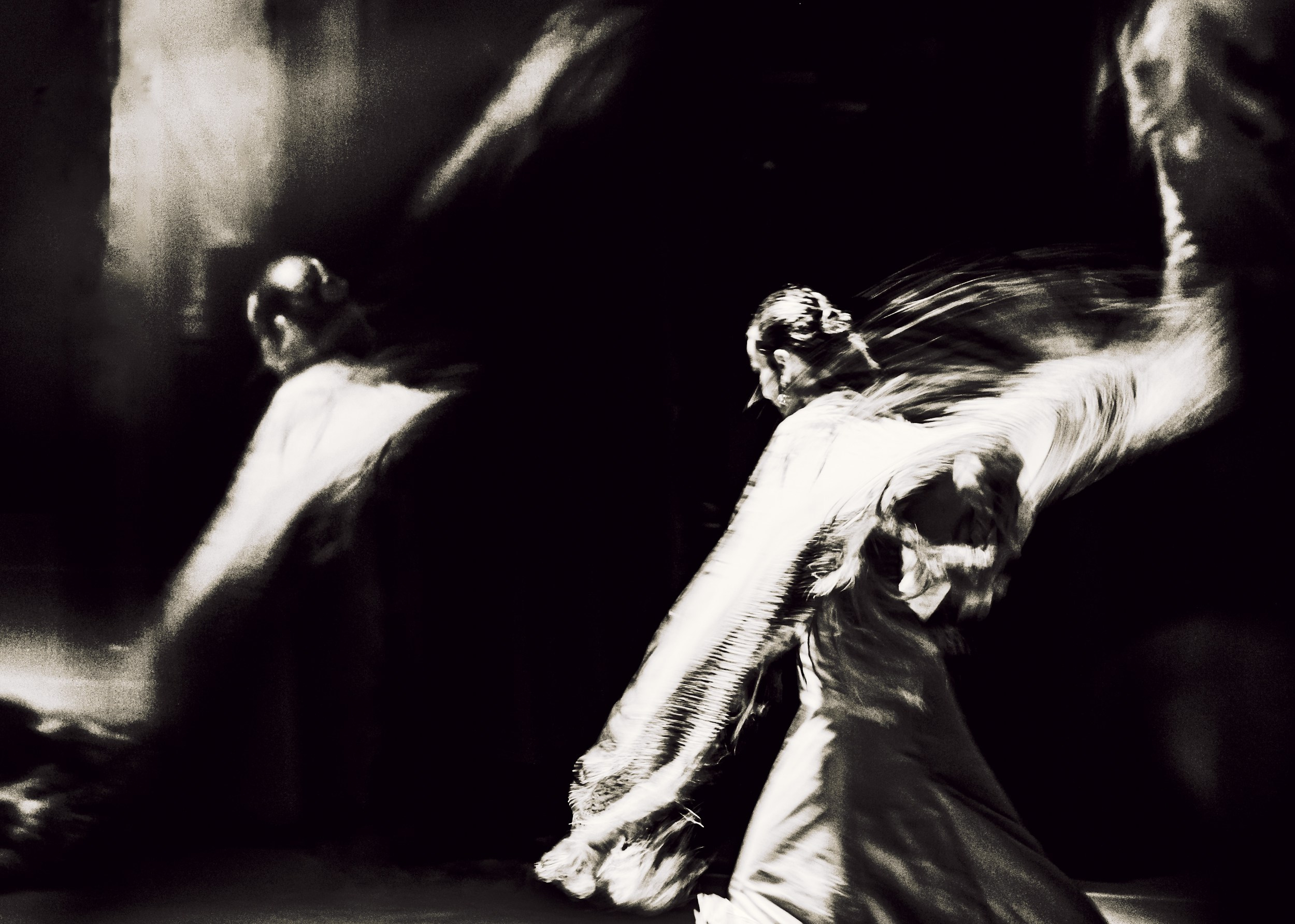 Flamenco spots. Ekaterina Tsurkina-Appina Photography Canada