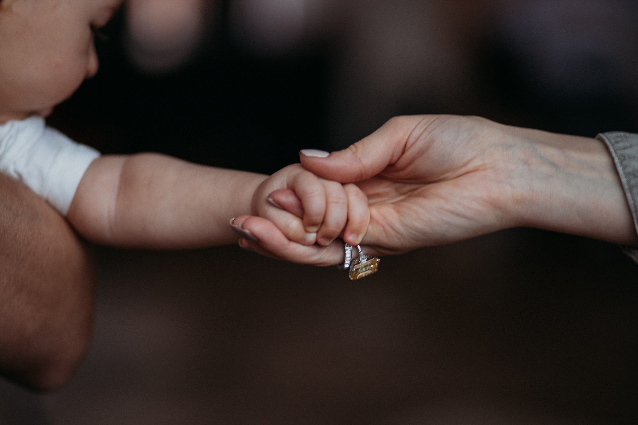 Family. Portrait and family photographer in Fort Collins Dania Gaisina