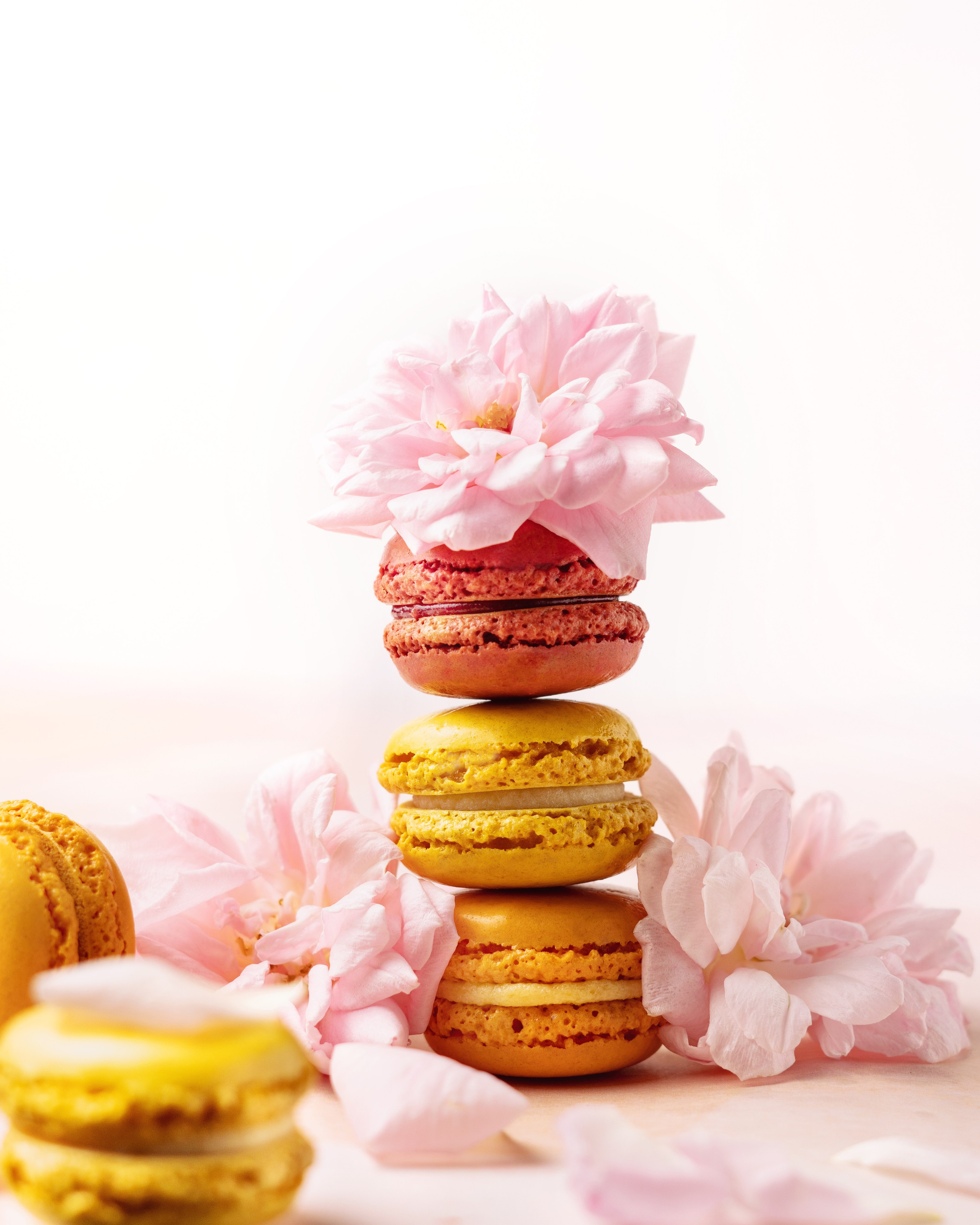 Commercial Food Photography – USA Menu & Advertising. LILIIA ZABOTKINA food photographer California