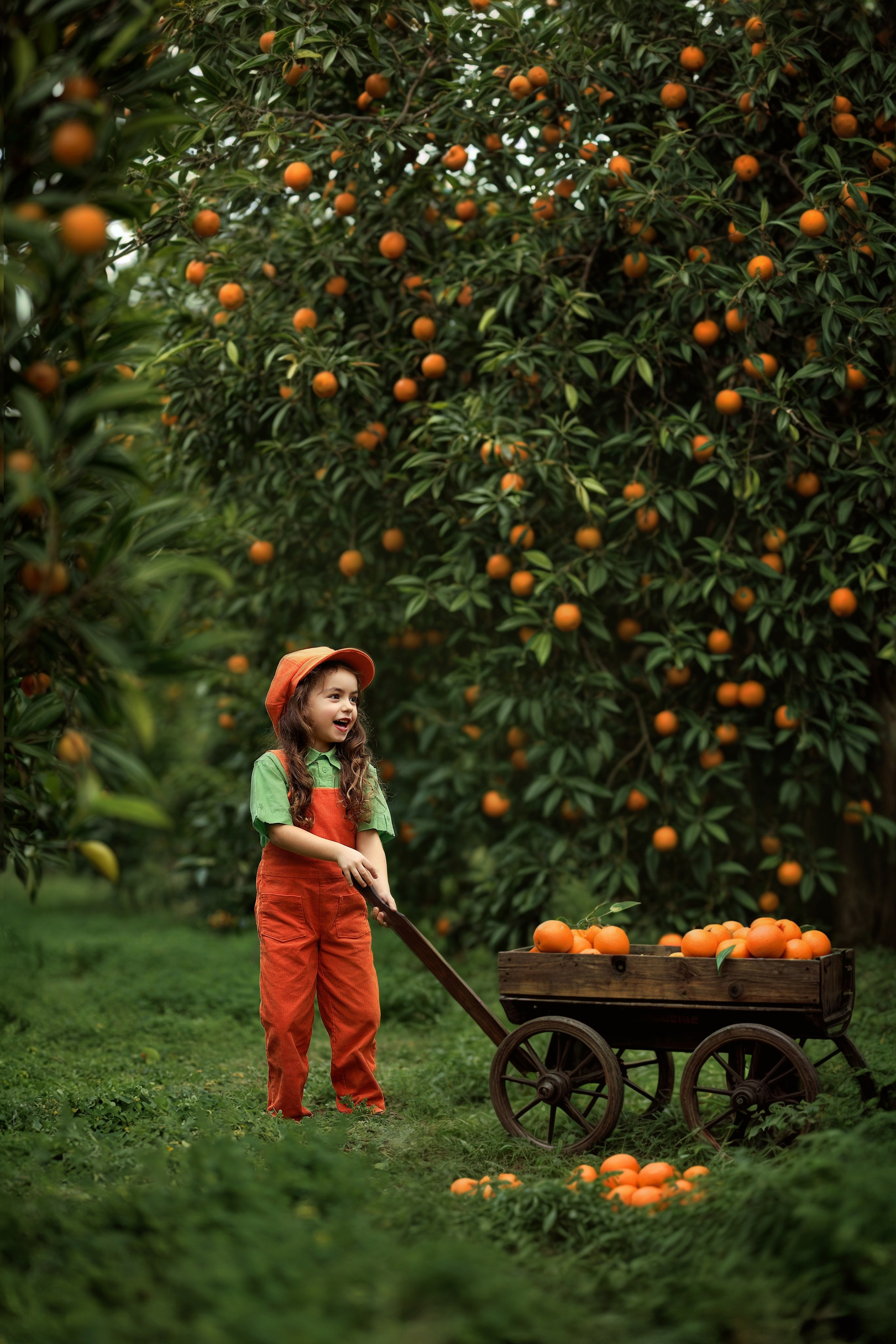 Photoshooting in orange garden. Photographer in Turkey, Antalya, Kemer, Belek, Side, Kas, Fethiye