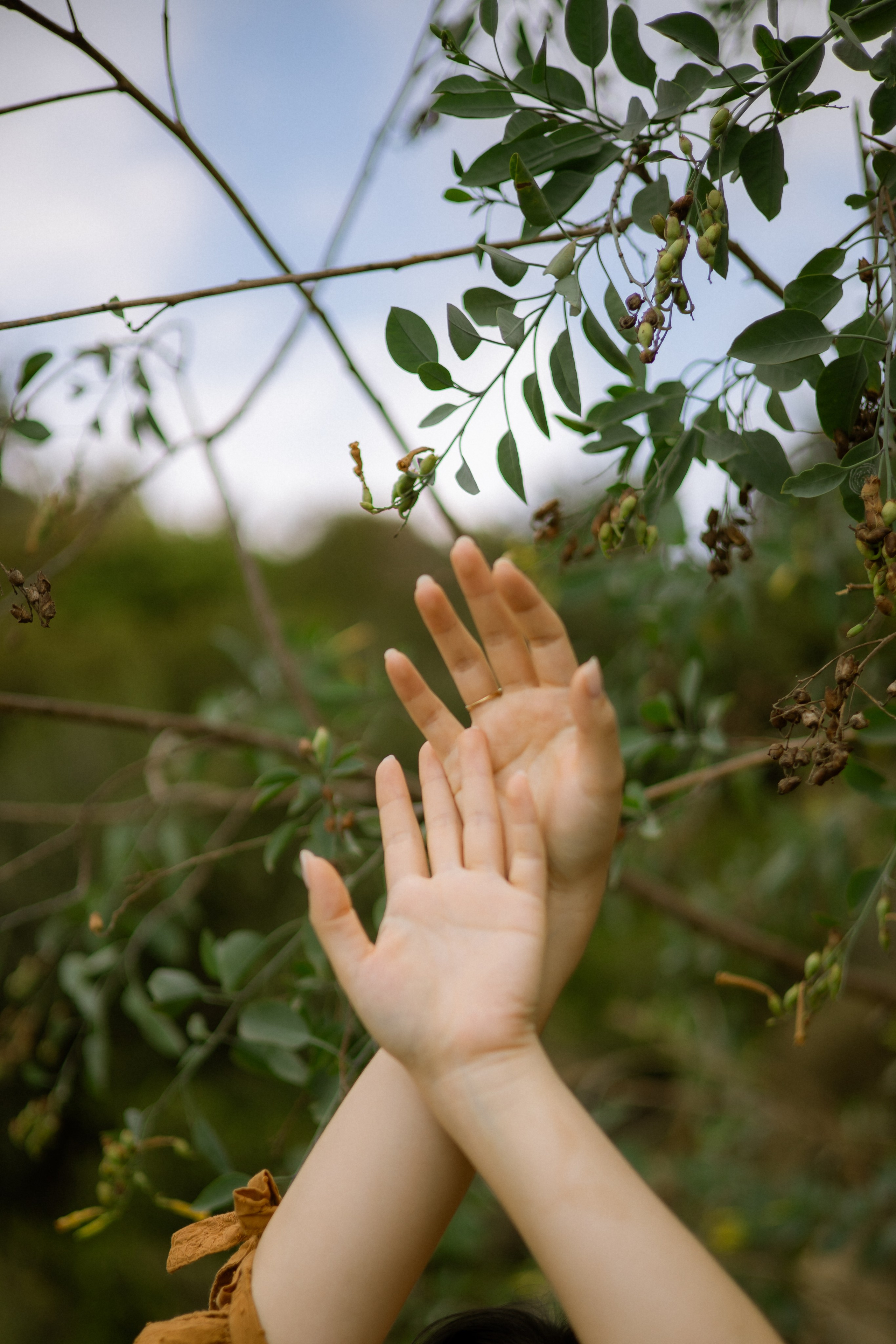 Kel | Griffith Park. Photographer in Los Angeles. Julia Ishmuratova
