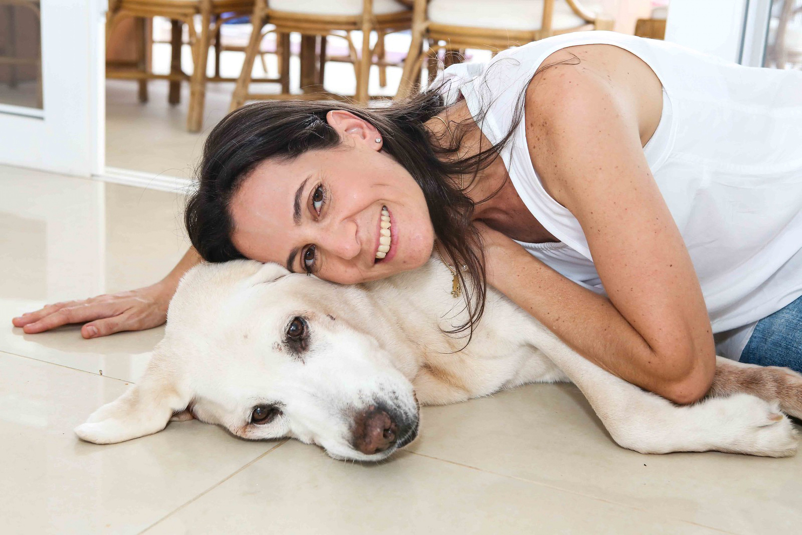 Animal de Compagnie. Studioplaza8