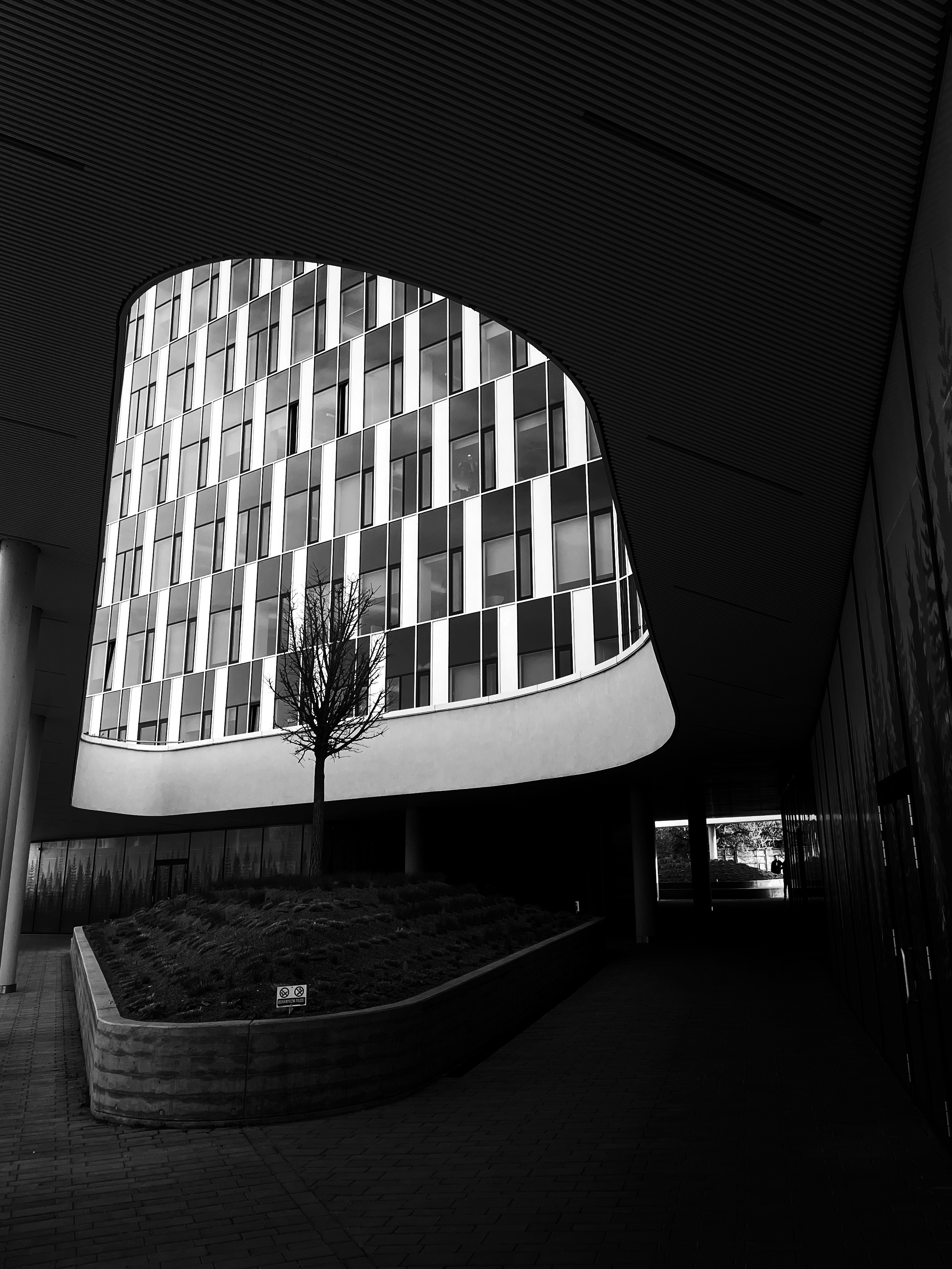 what I see | Budapest 2026 | IPHONE 12 PRO