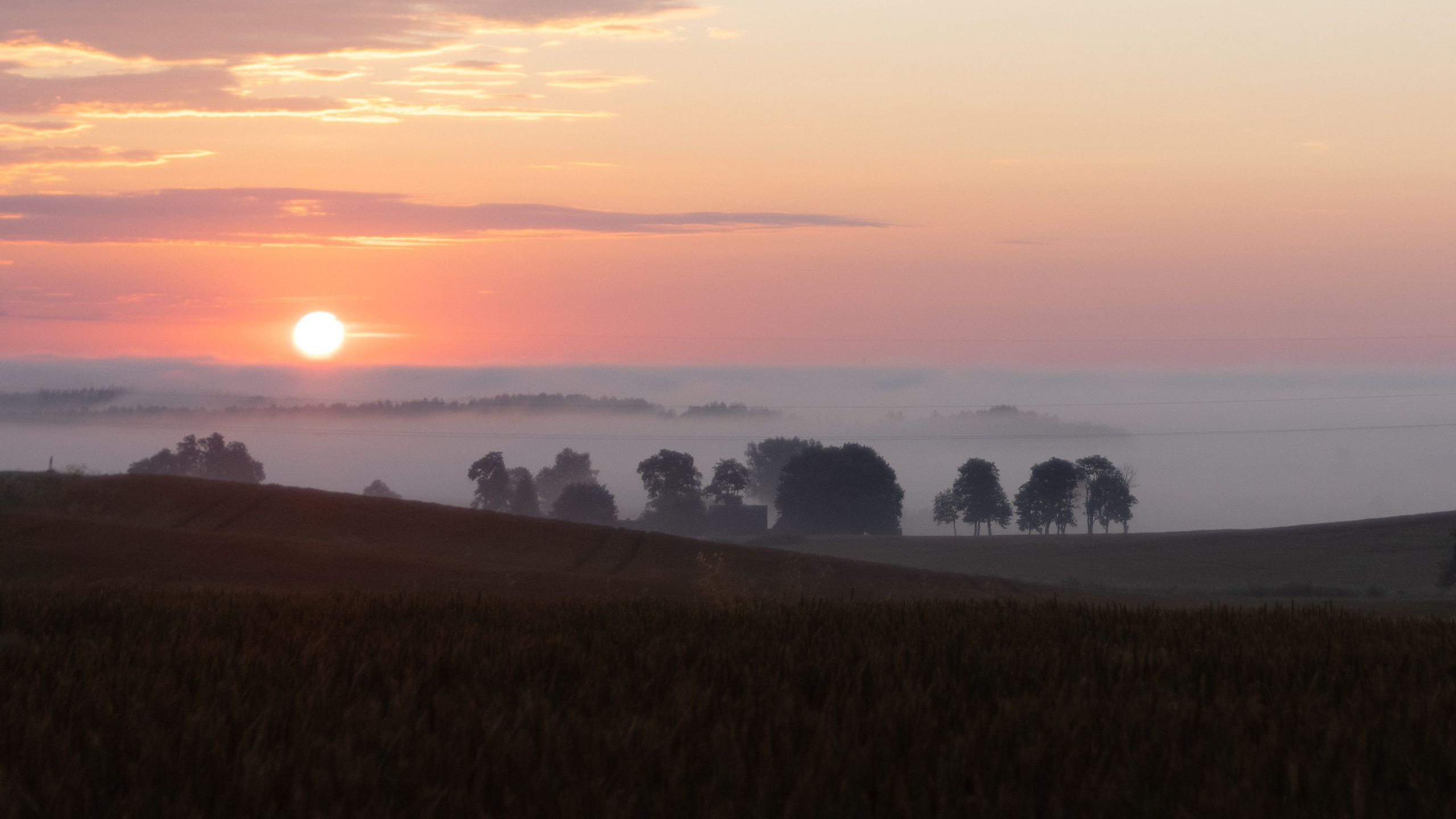 Landscape. Portrait and Street photographer in Vilnius Edgar Shaipunas
