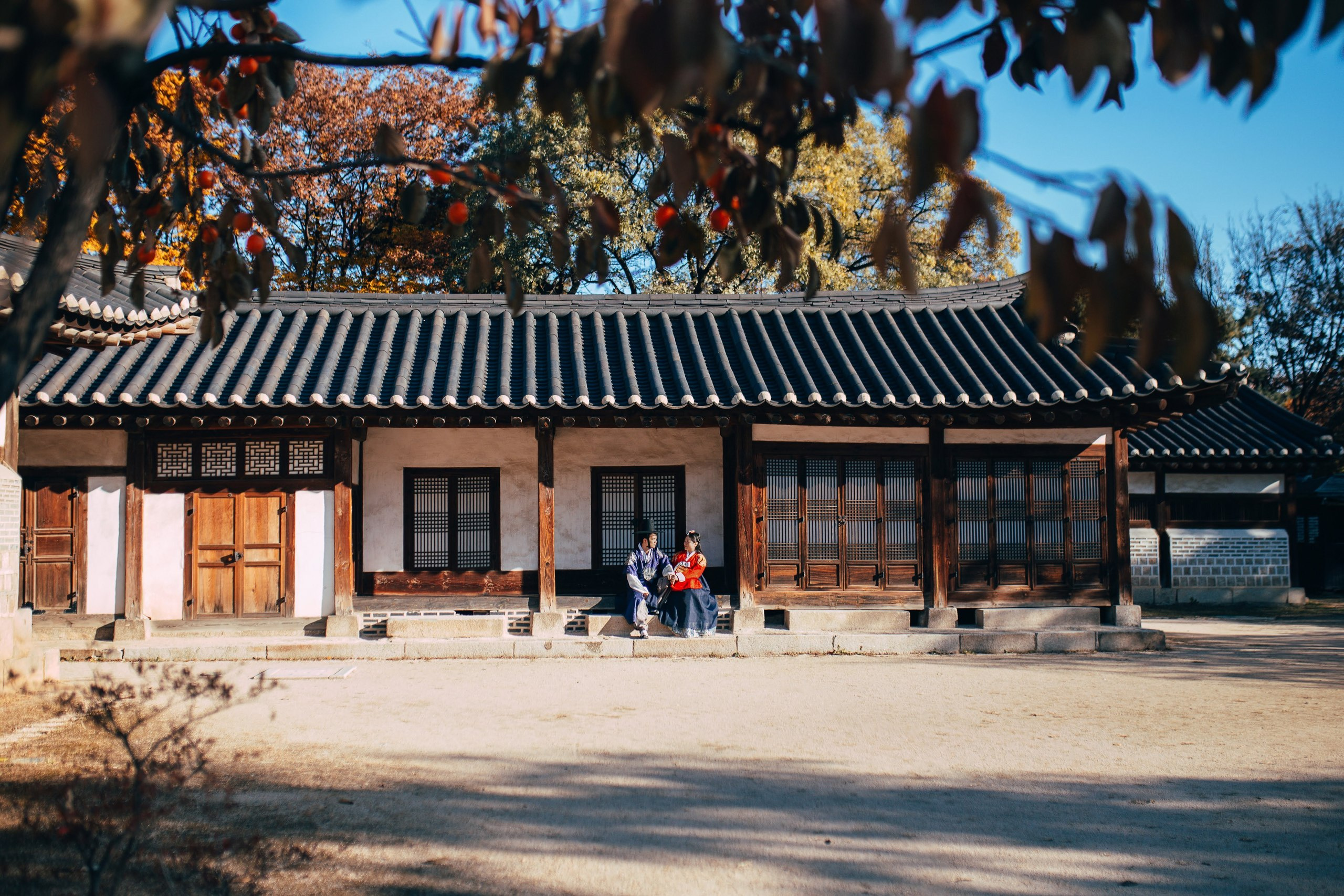 Николай и Кристина. Портретный фотограф в Южной Корее Ольга Лян