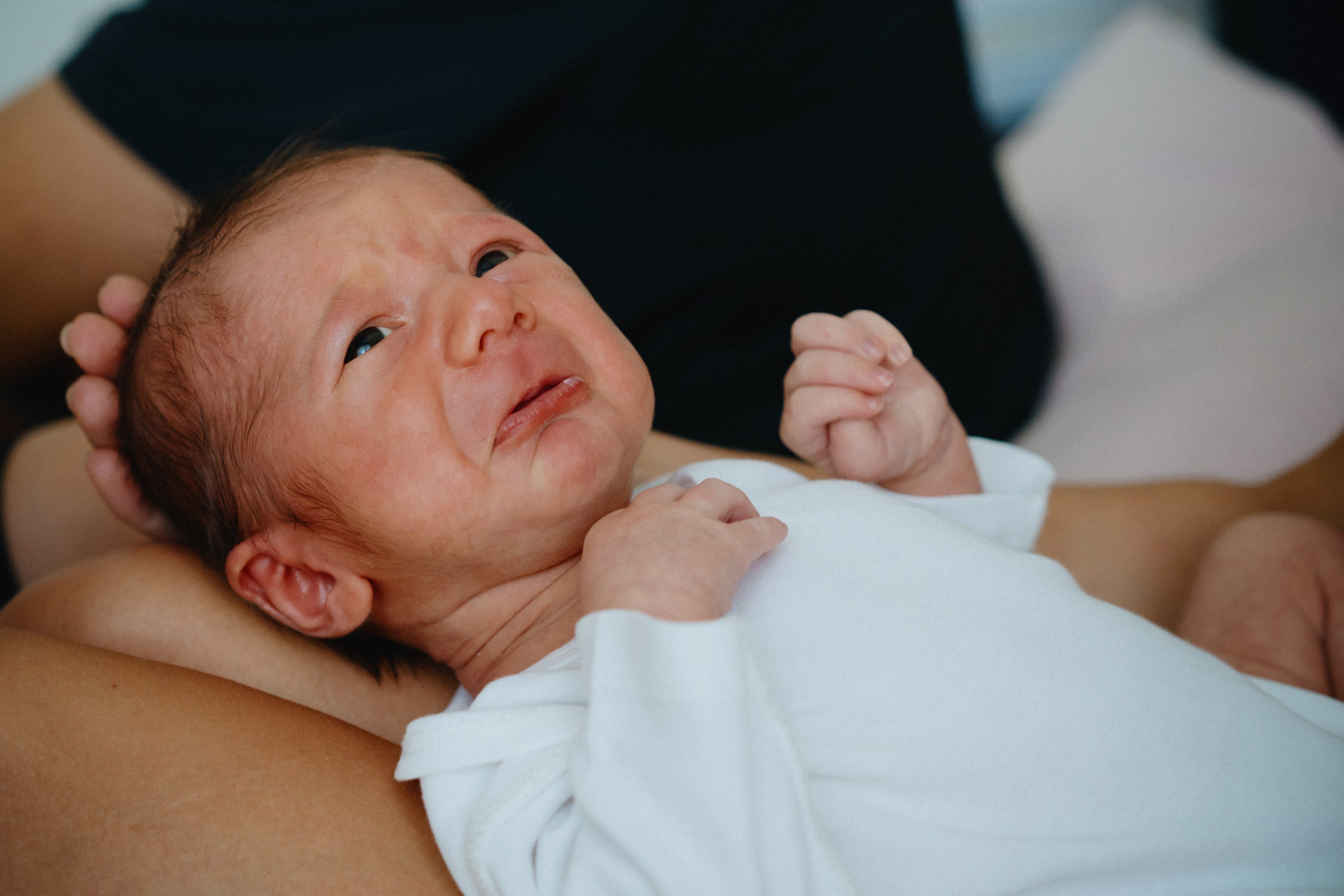 New Life. Elena Pretzner Photography