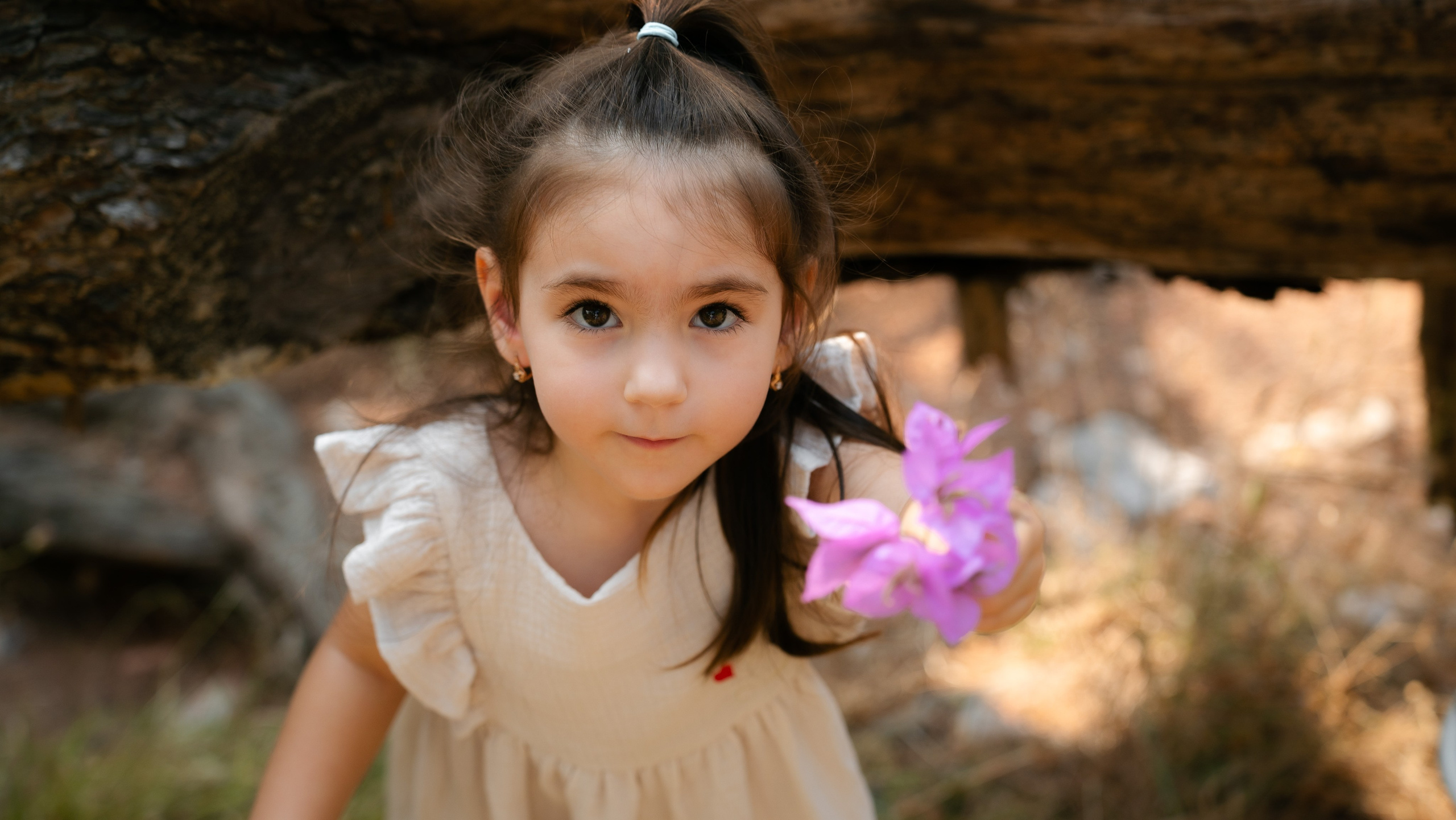 Portfolio. Montenegro photographer and videographer