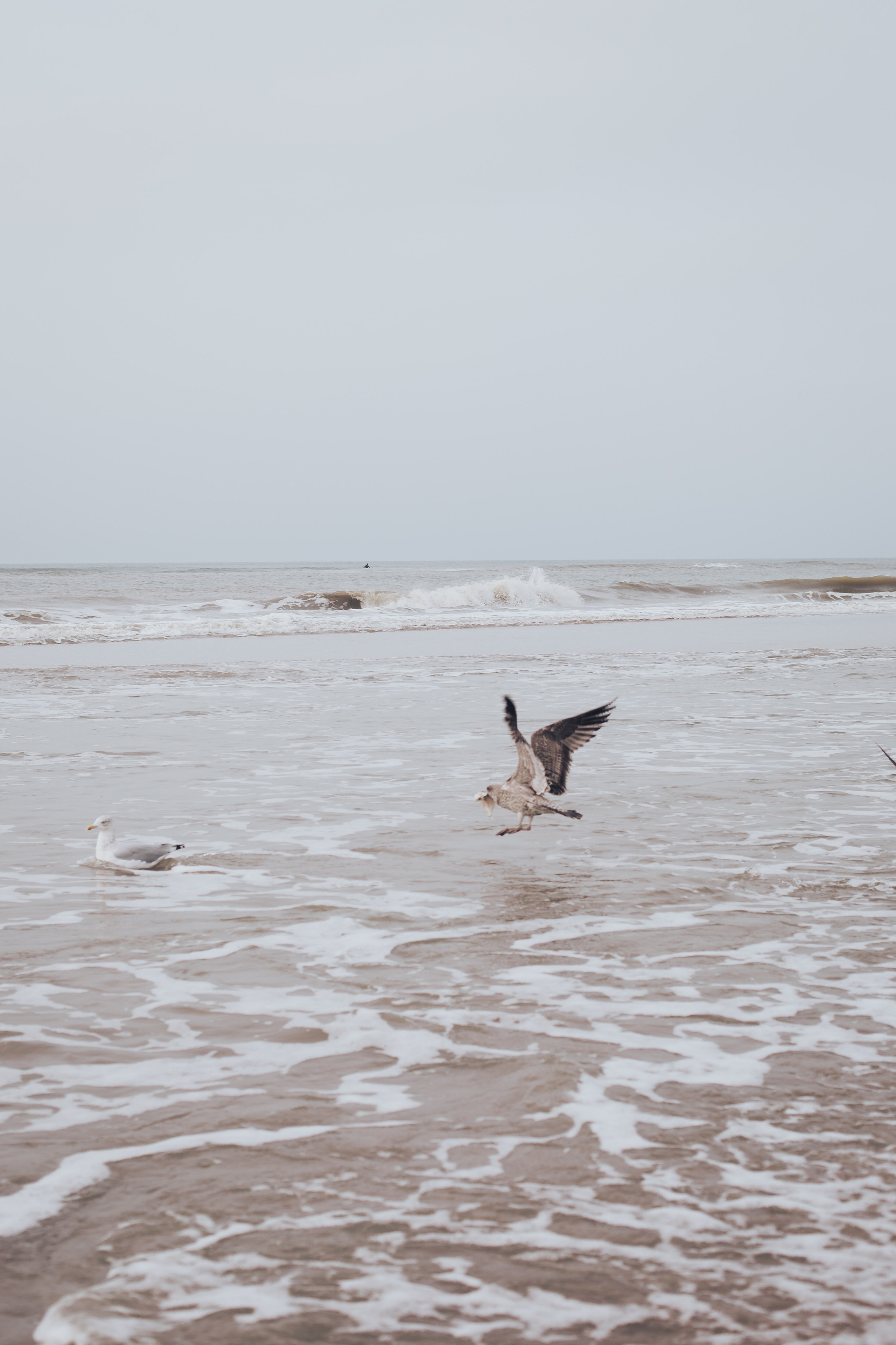 You can protect your peace. Amina Gunenc - bruiloft- en familie fotograaf in Nederland