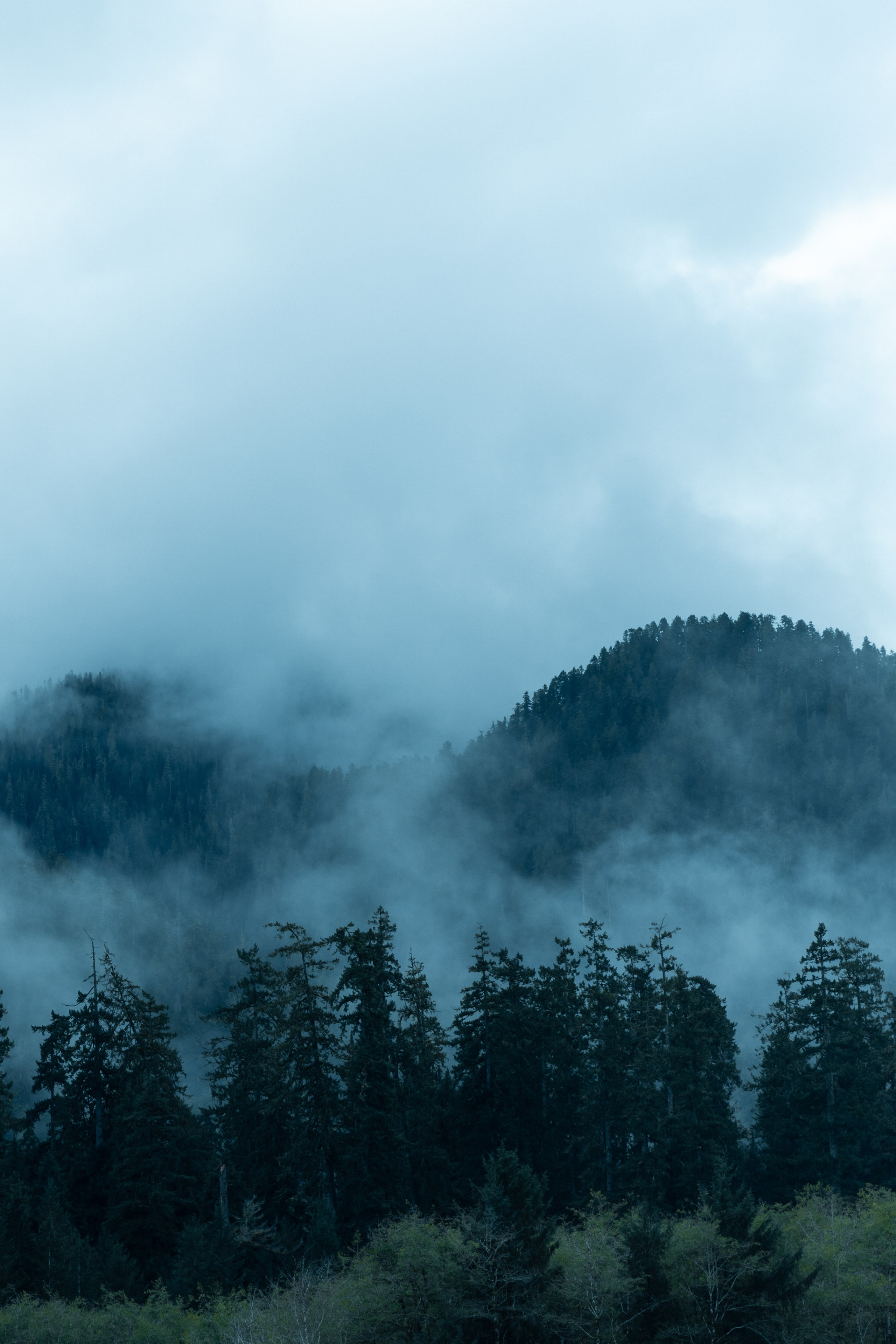 Twilight | Wallpapers. Photographer in Los Angeles. Julia Ishmuratova