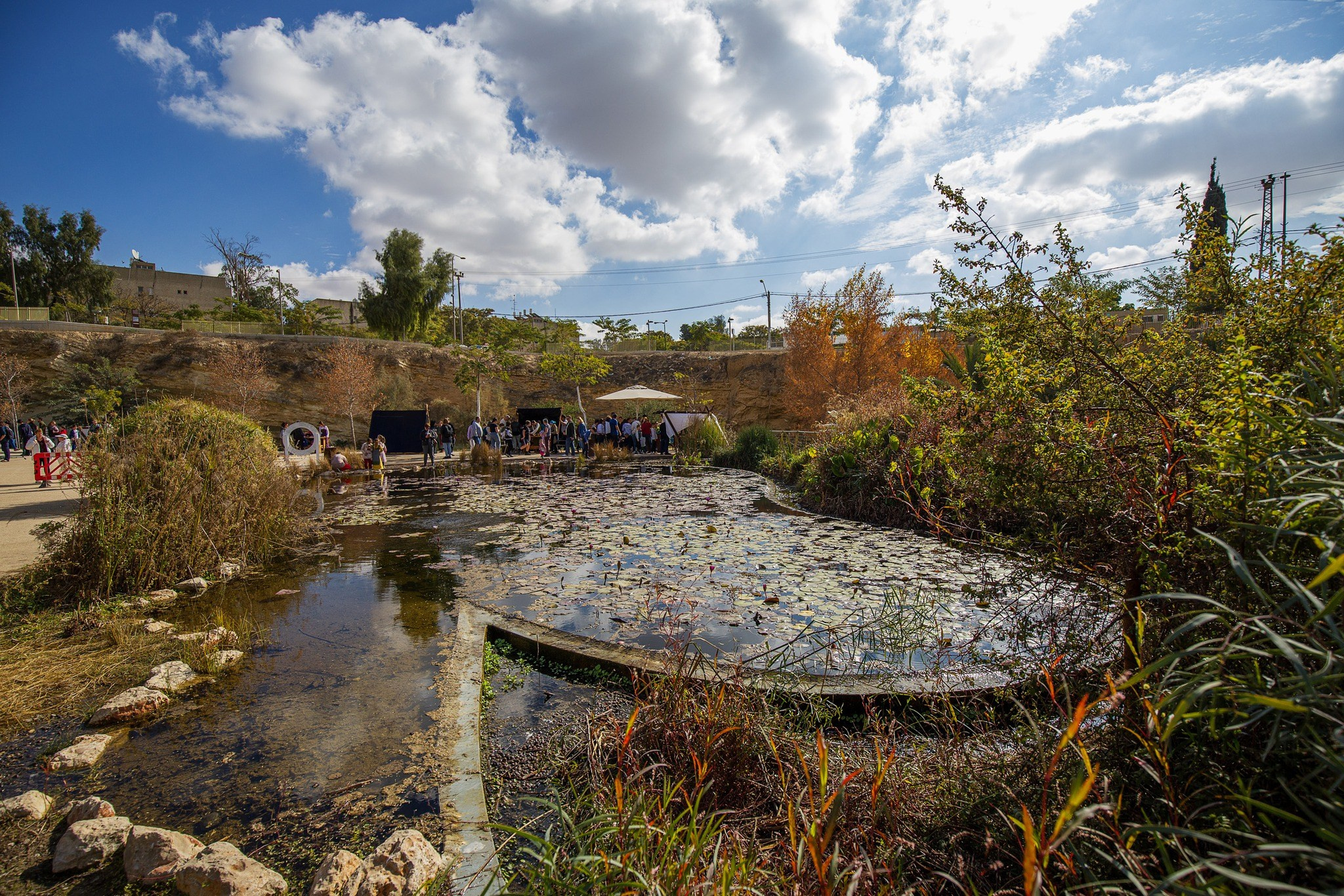 Мини-фестиваль клуба «Нортман» в Беэр-Шеве — 17 января 2025 | Виккинги в Израиле. КРиС «Нортман»
