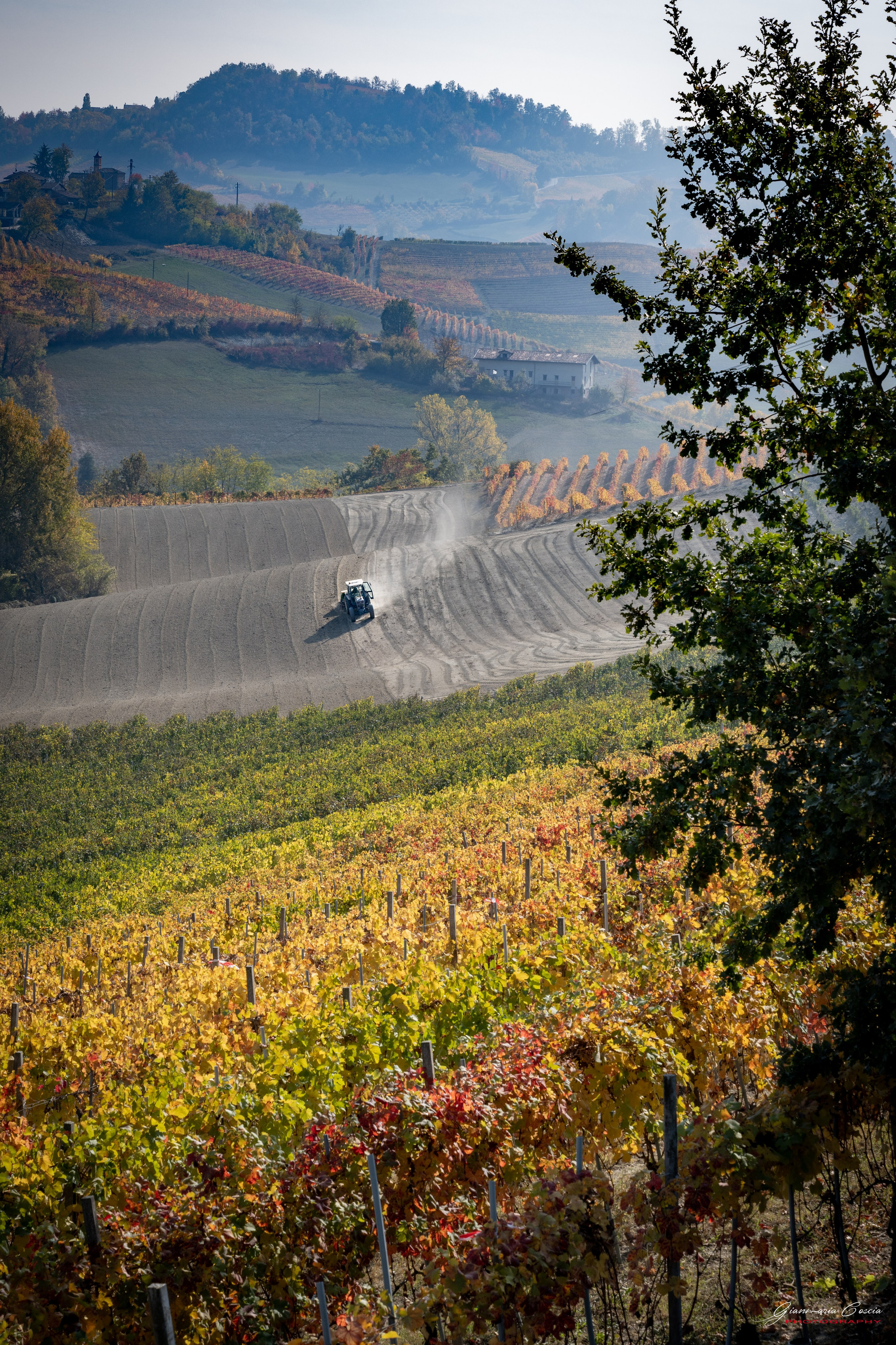 Langhe. “Gianmaria Coscia fotografo per passione”