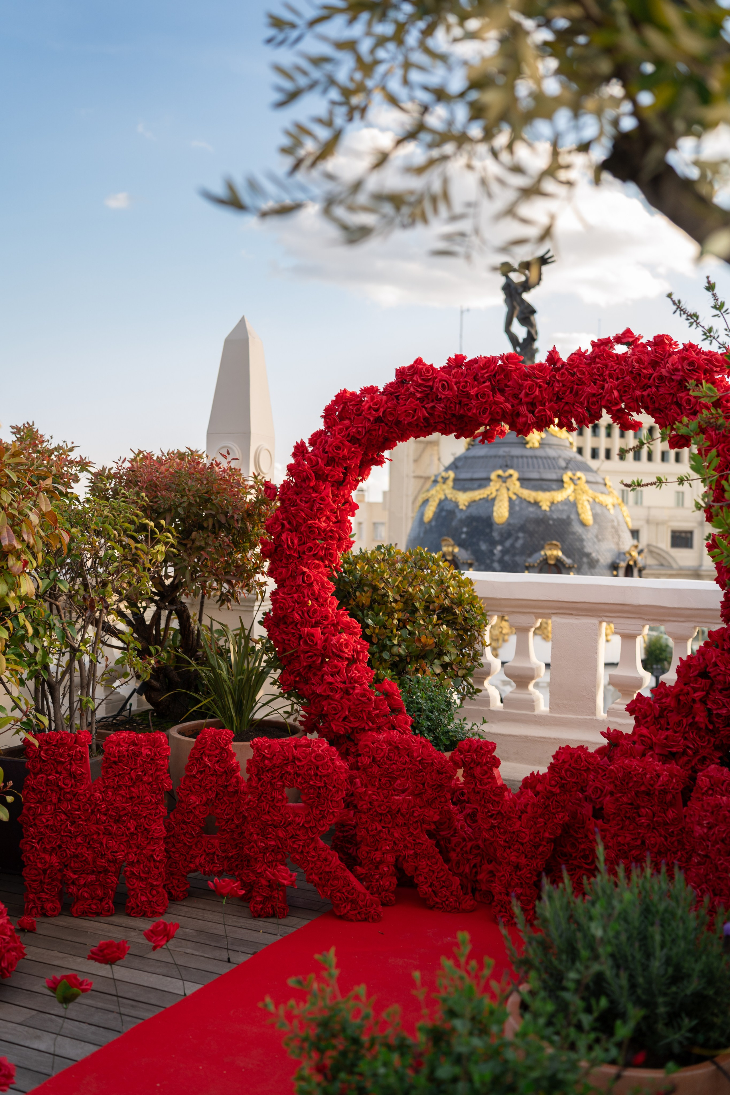 Proposal on the terrace. Fotógrafo en Madrid, España. Alyona Belyaninova