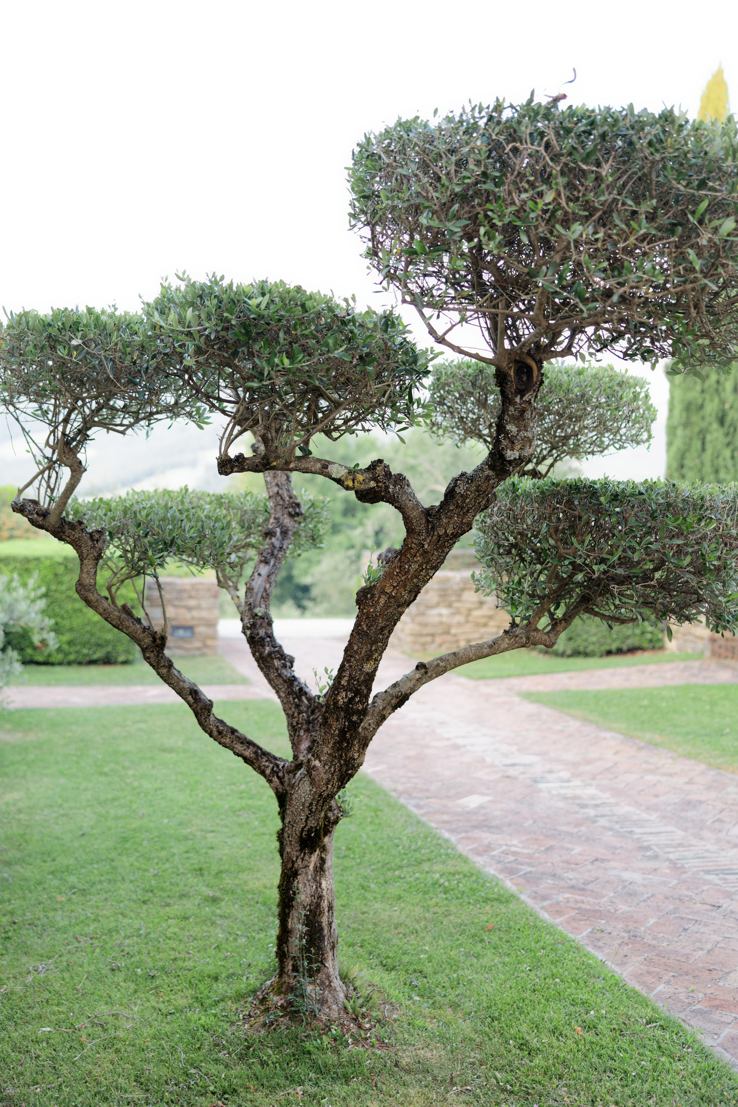 Wedding at Borgo Bastia Creti, Umbria
