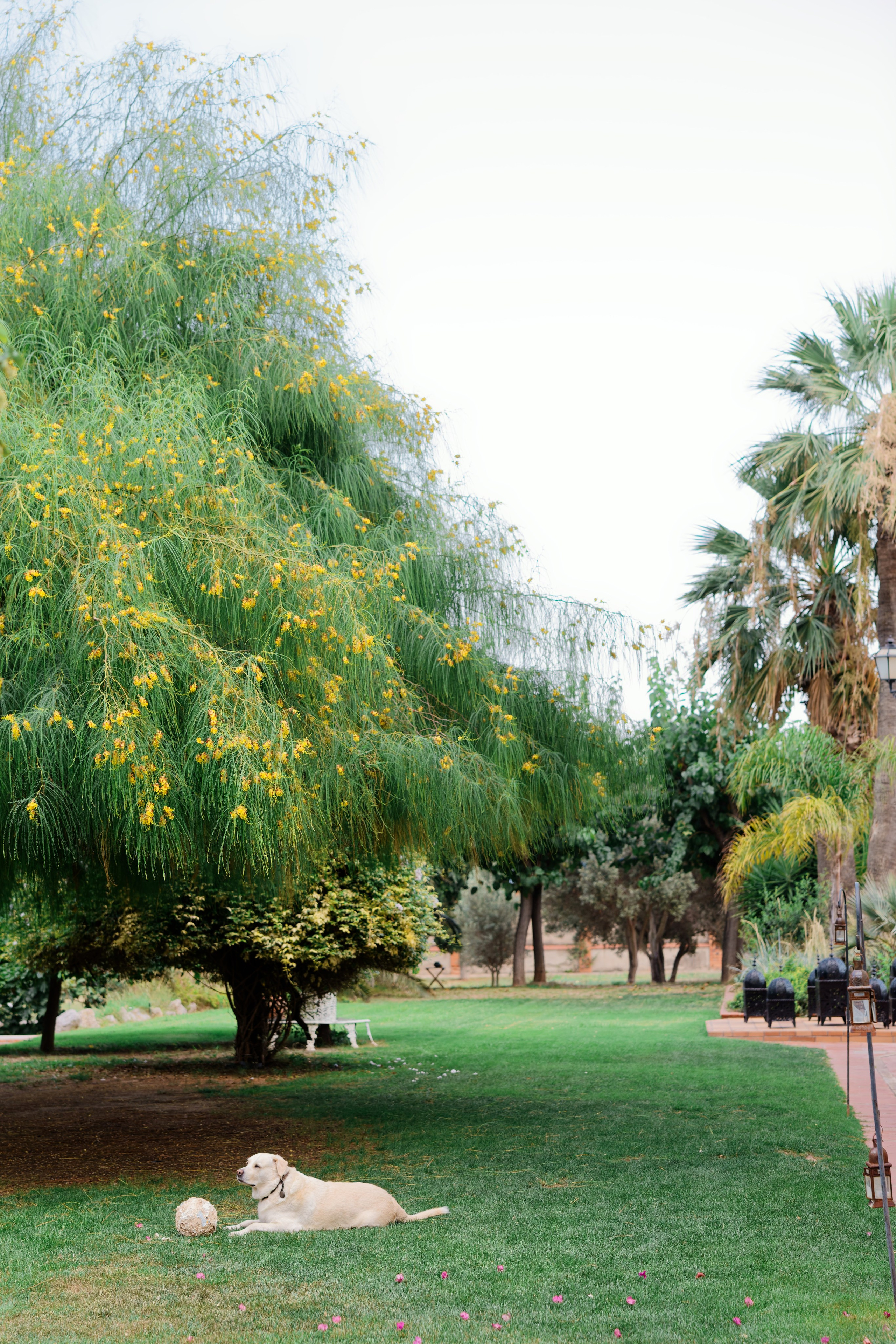 Indian wedding at Gran Villa Rosa, Barcelona