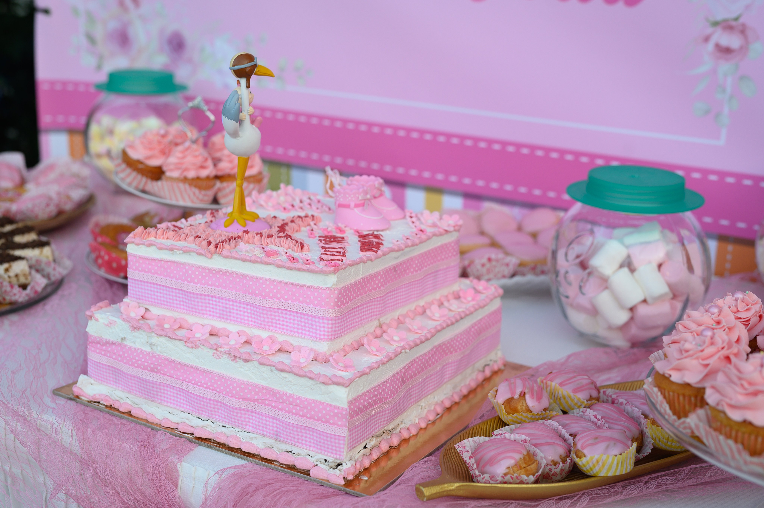 Maria Baptism. AdrianOltean.wfolio.pro