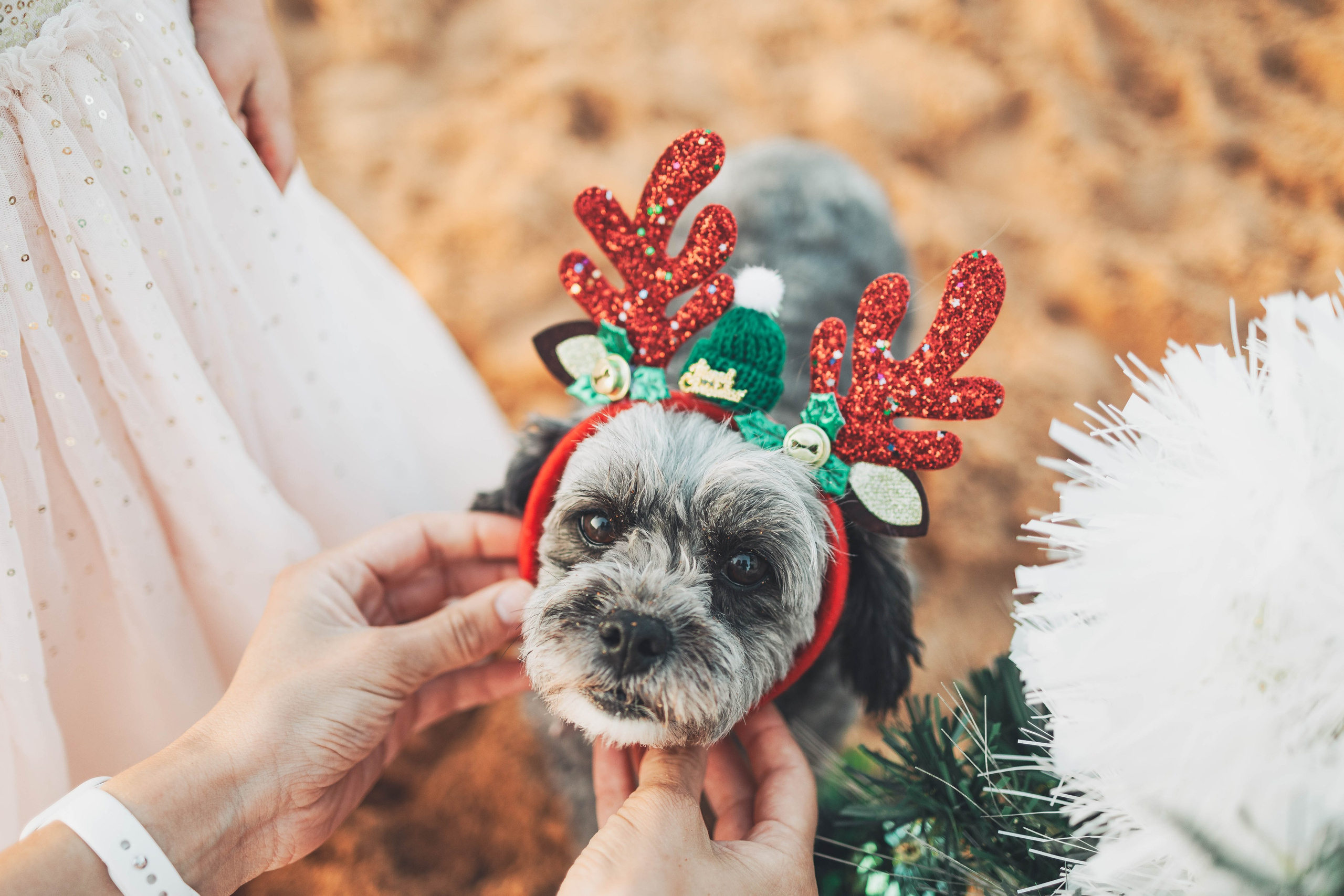 Family photographer in Sydney. True Story Photography