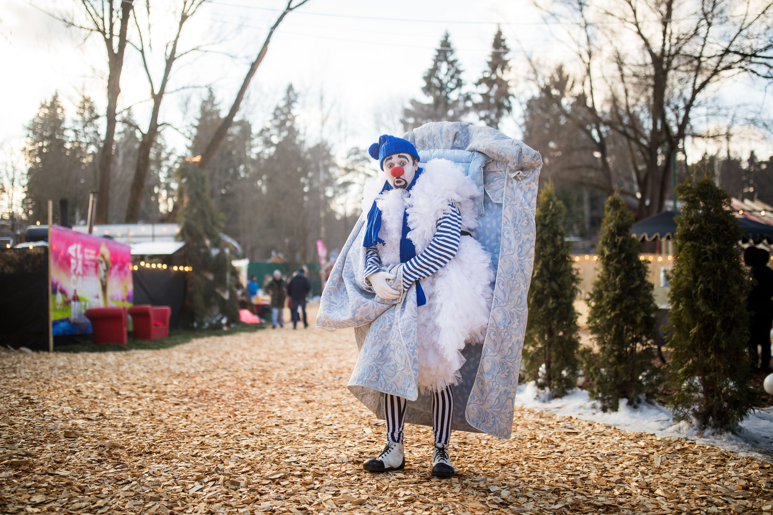 Birthday Gregory. True Story Photography