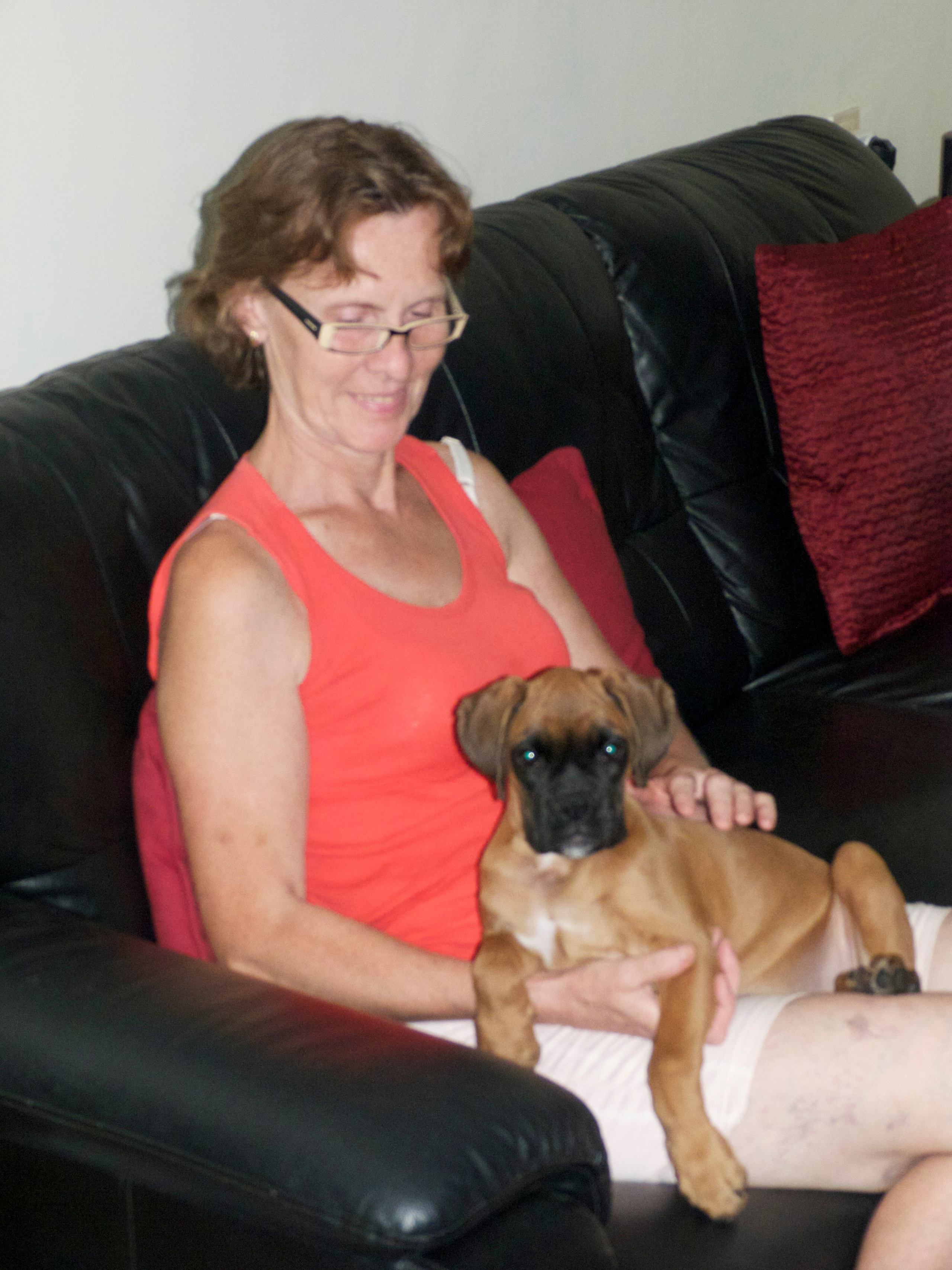 My ״Star״ Boxer Dog