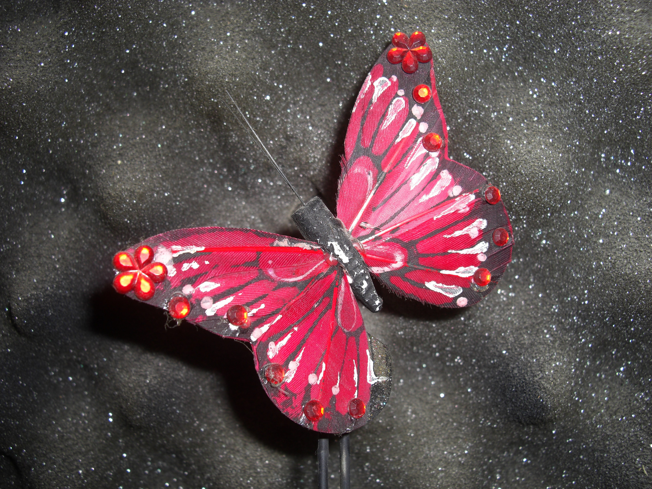 Everything from everything