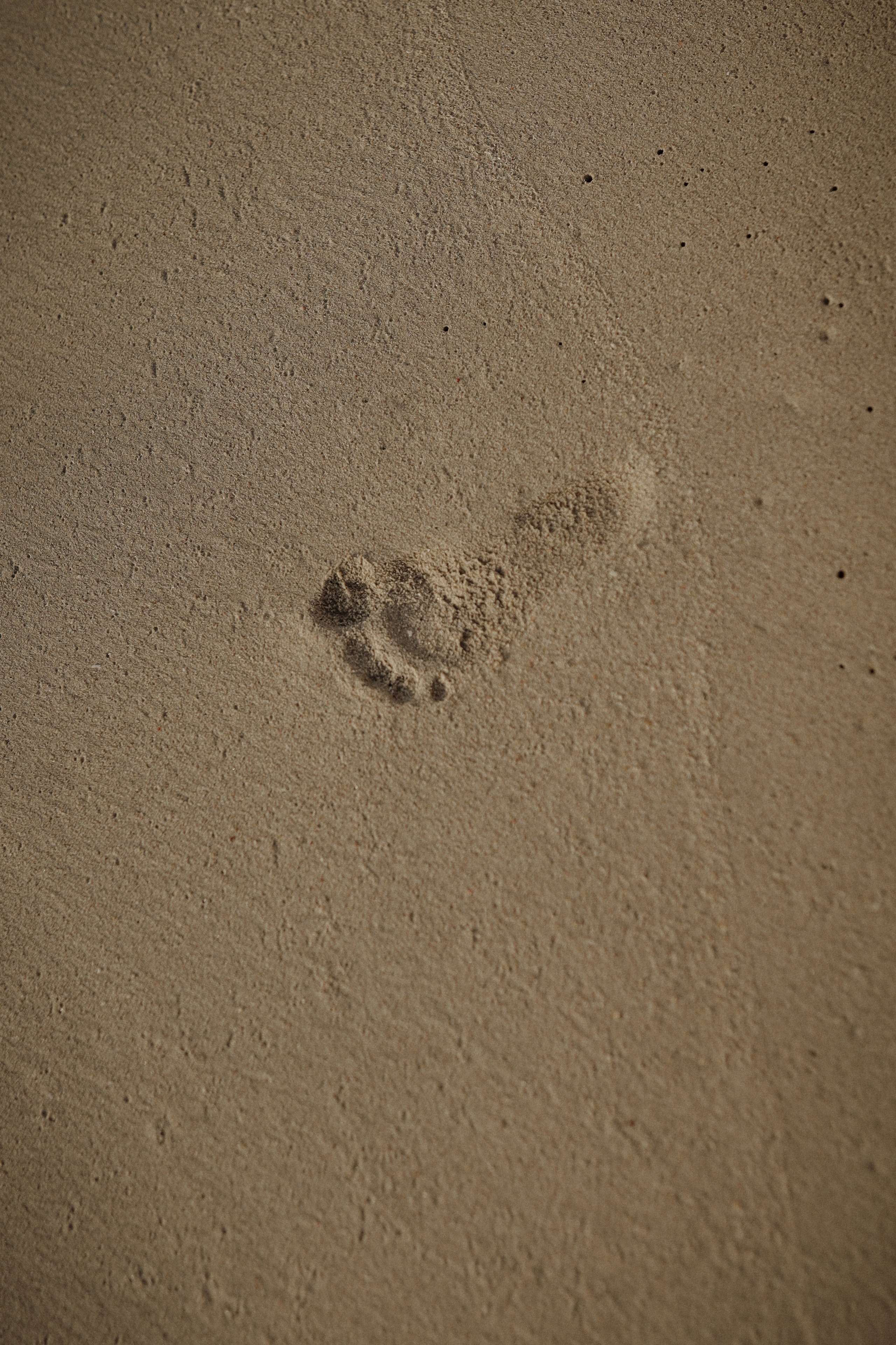 СЕМЕЙНАЯ СЪЁМКА. Свадебный и семейный фотограф в Дубае Эльмаз Черникова