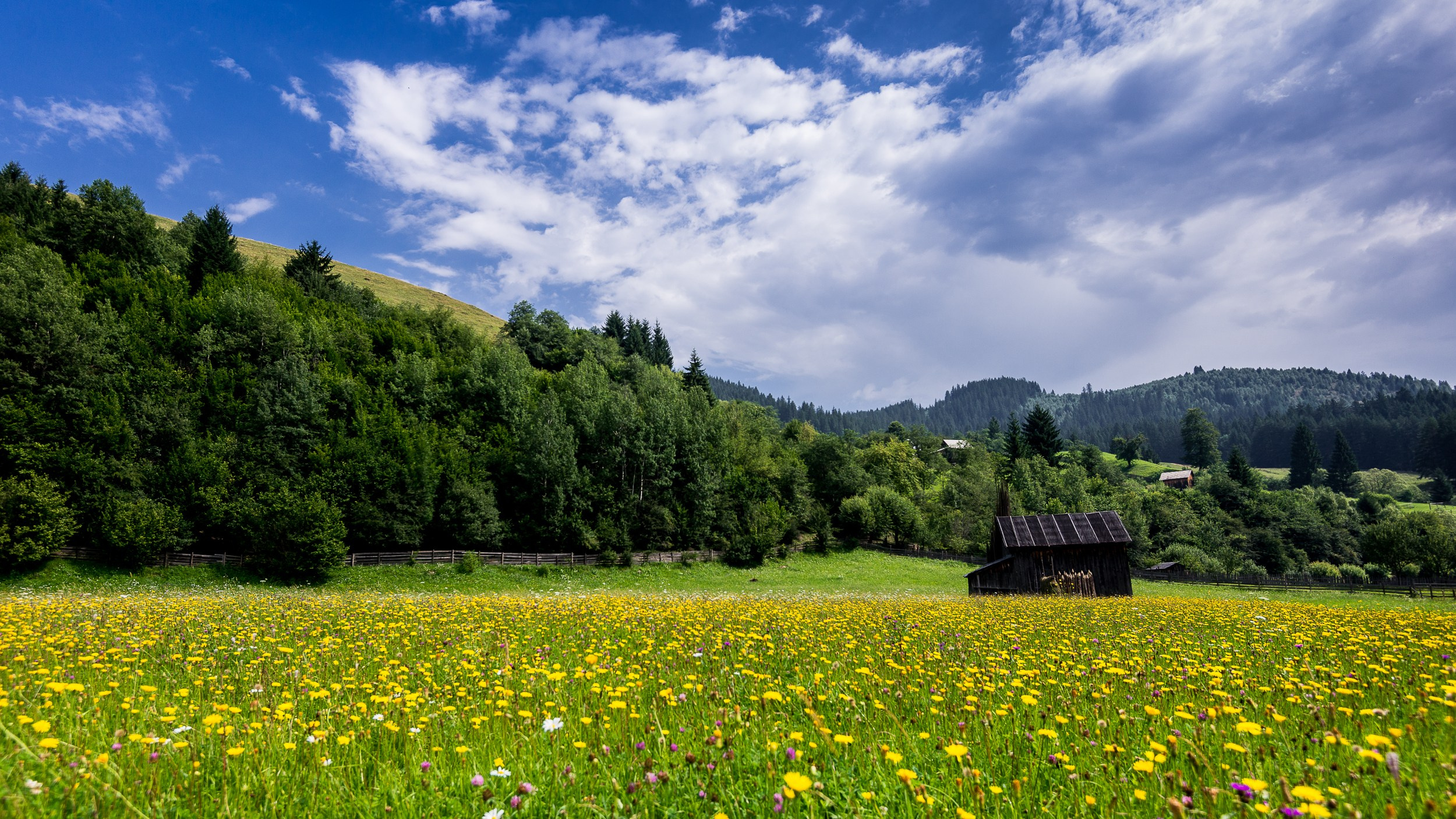 WK Sorin Onisor. Marius Ciocan