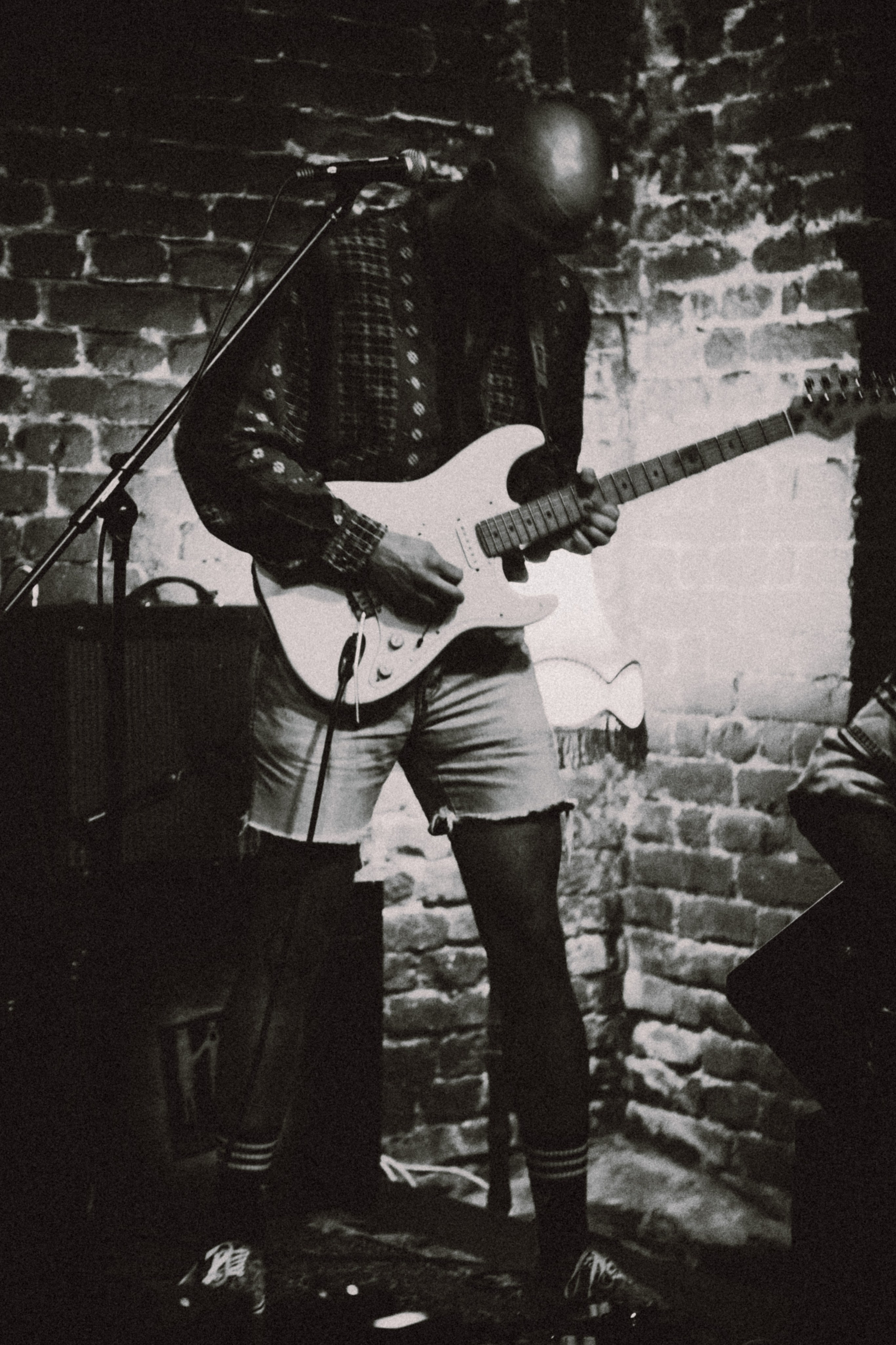 LUBBER LOUIE. Photo by lenozavra