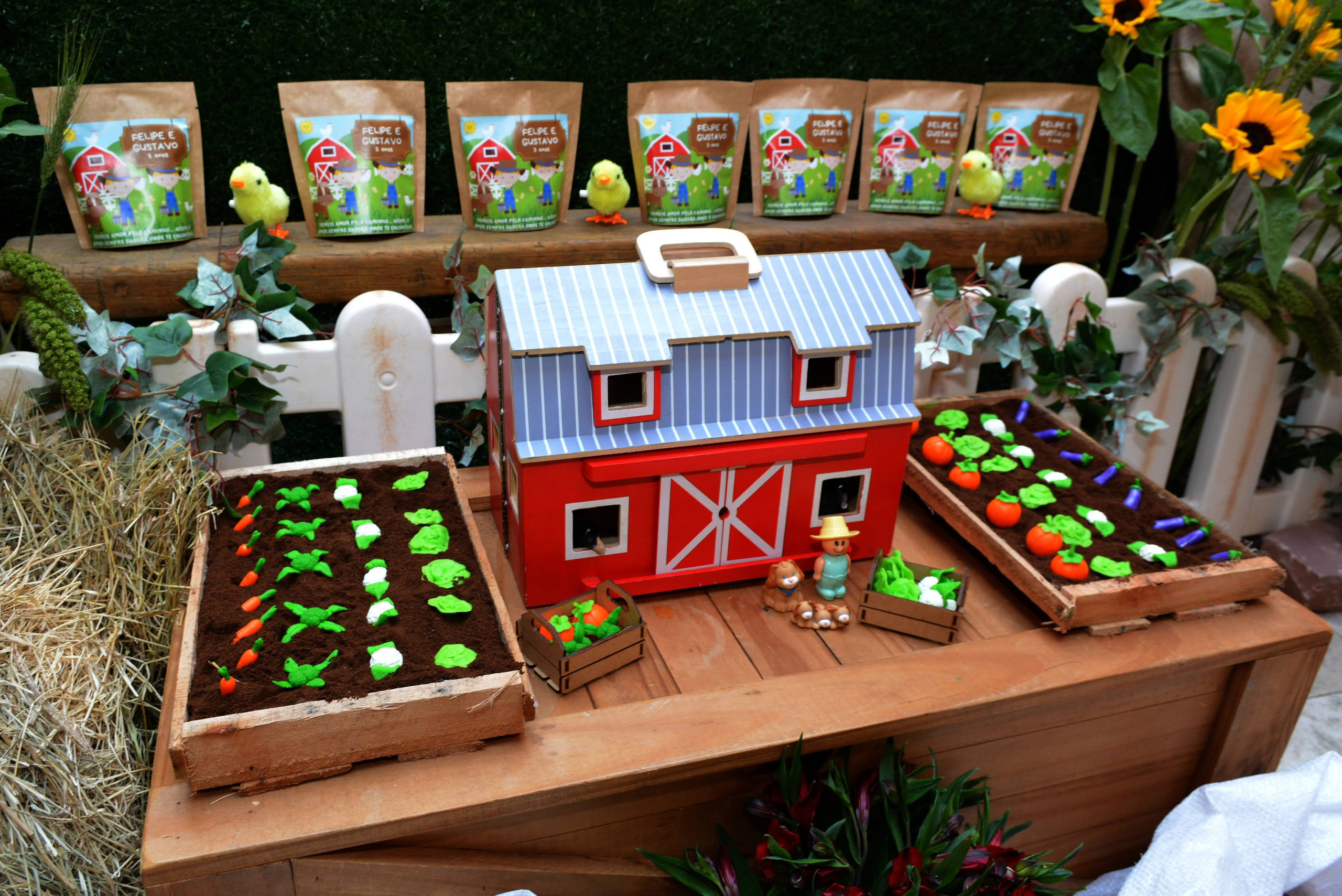 Felipe e Gustavo — 3 Anos. Rbfotoevideo