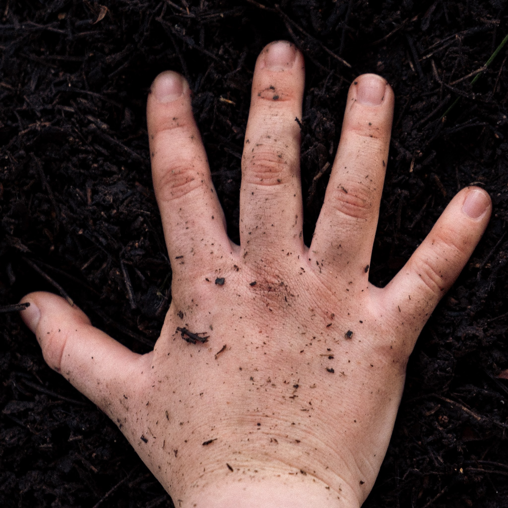 Back Home play (Scene + Heard Festival 2026). Alforlove.com