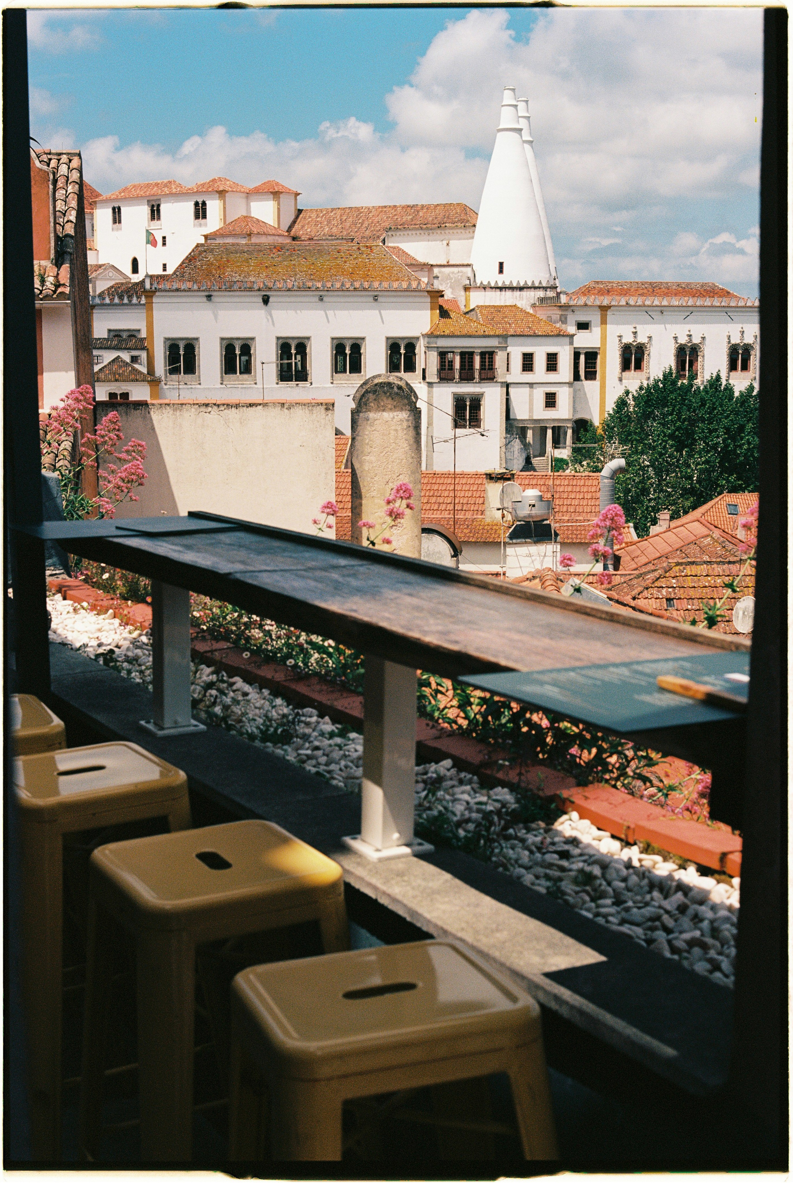 Madeira on film. Portrait photographer in Madeira — Marina Shtukina