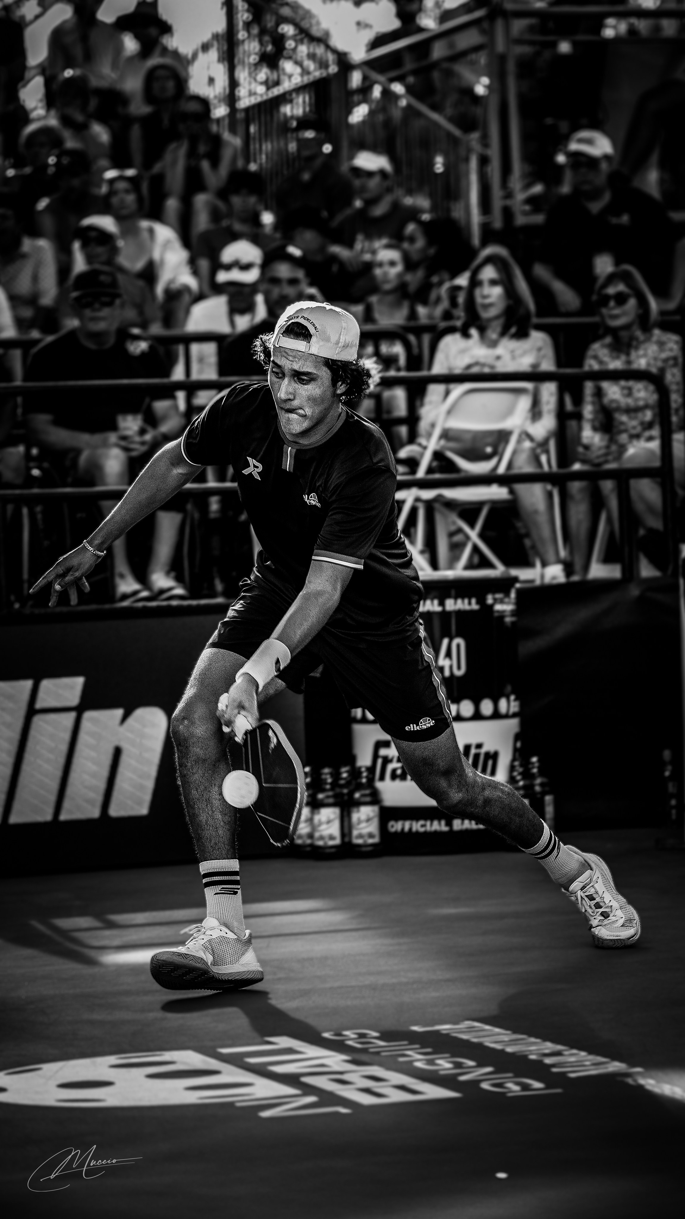 Black and White. Out and About 239