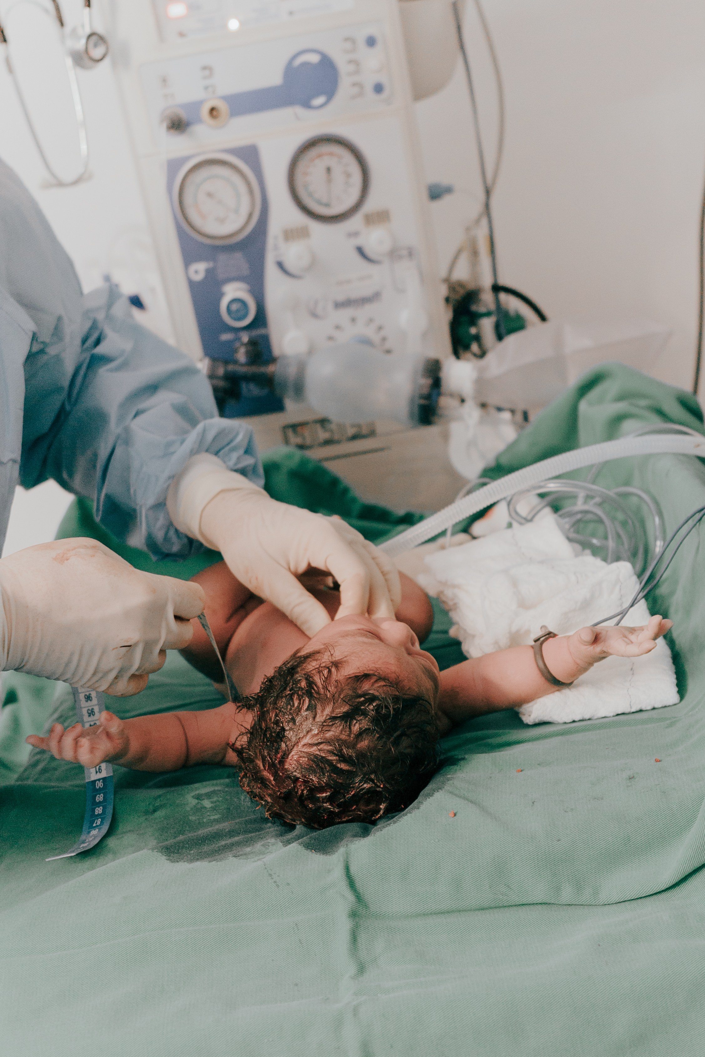 Nascimento de Vicente