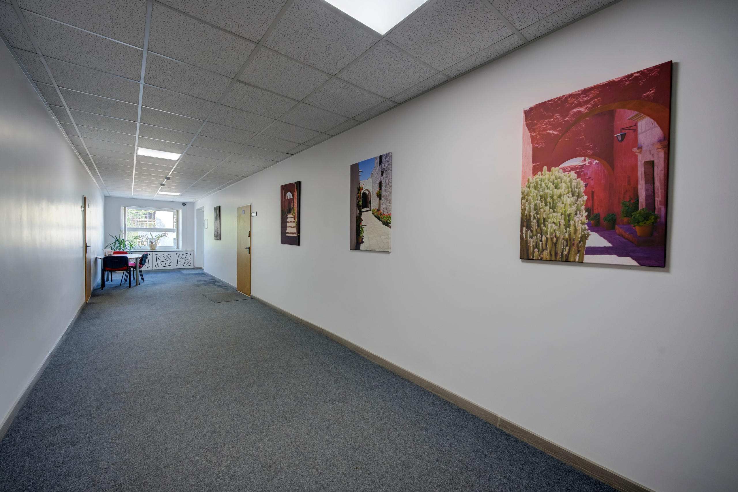 Saltoniškių g. 31. Elina Sapiega fotografė Vilniuje