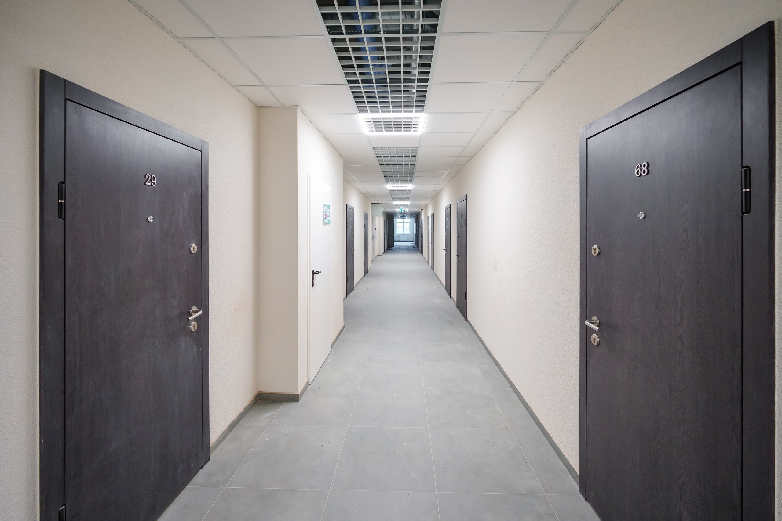 Naugarduko g. 41. Elina Sapiega fotografė Vilniuje