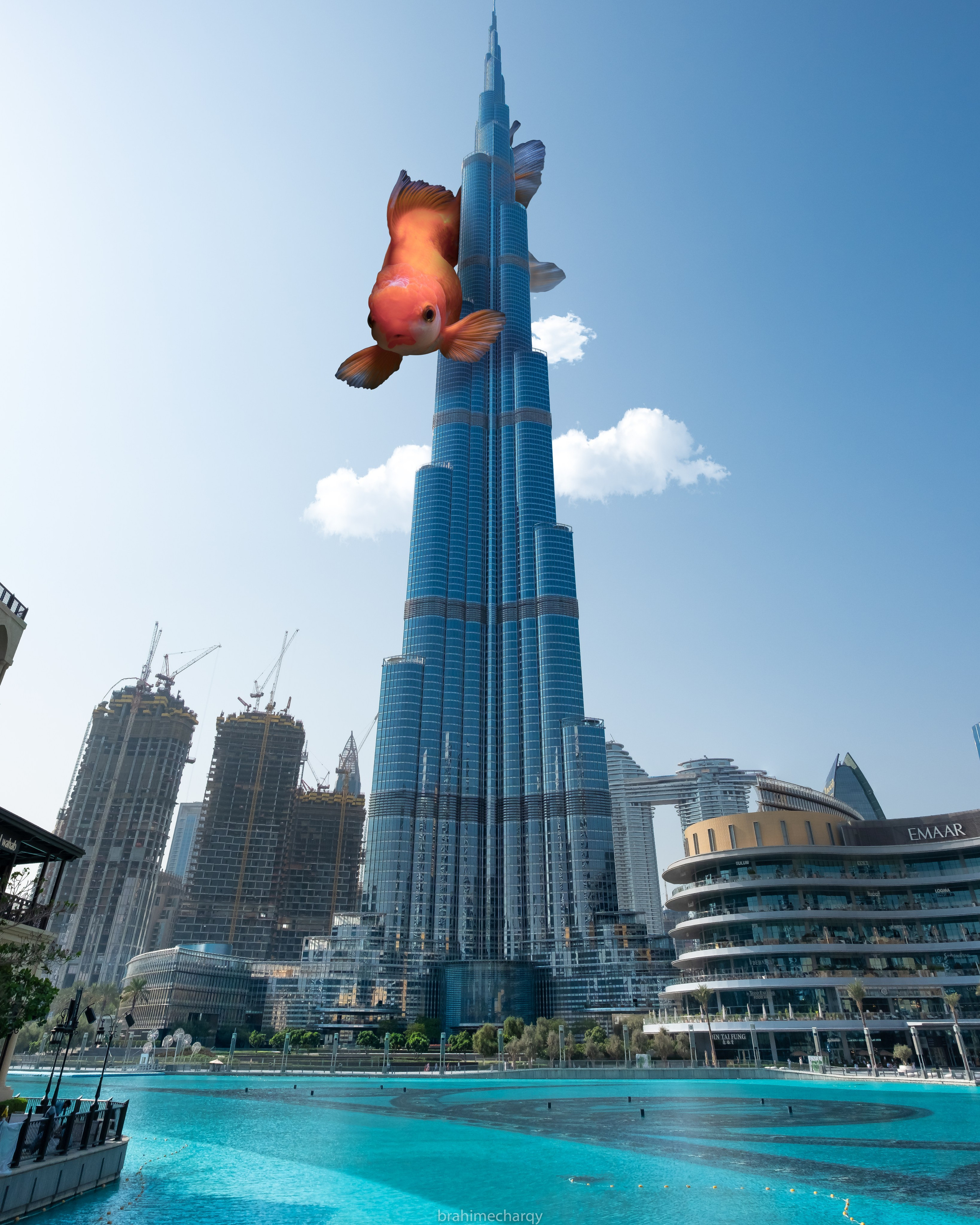 Фото. Брахим — фотограф