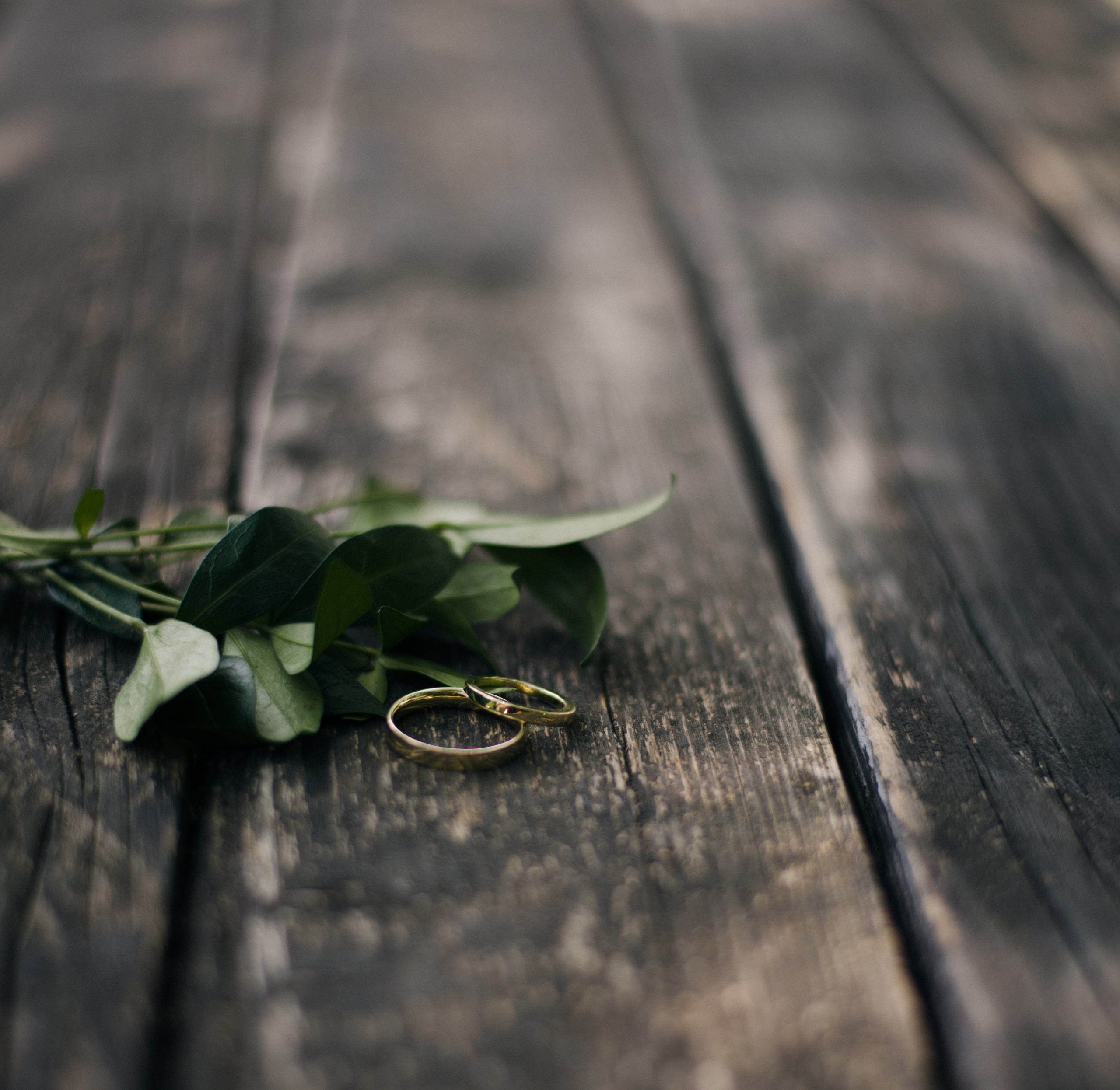 Svadby. Rodinná a svadobná fotografka v Bratislave | Prezrite si portfólio