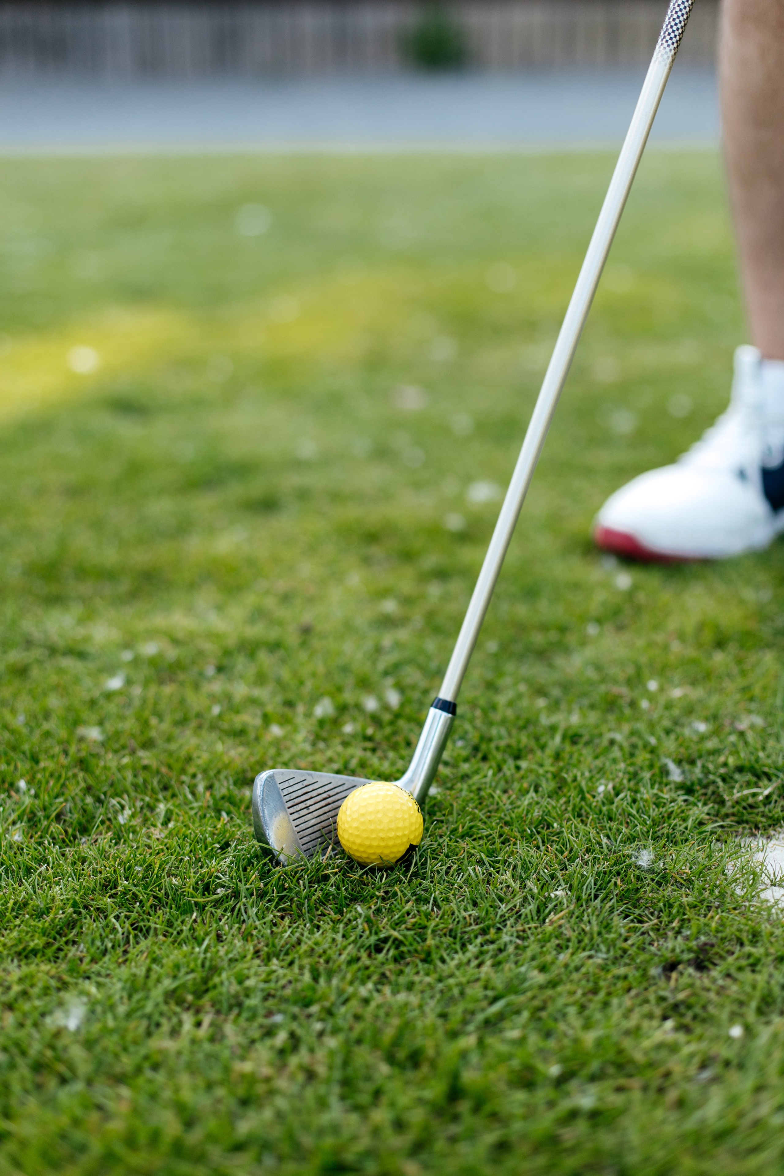 Content. Family photographer in Prague and Europe Francesca