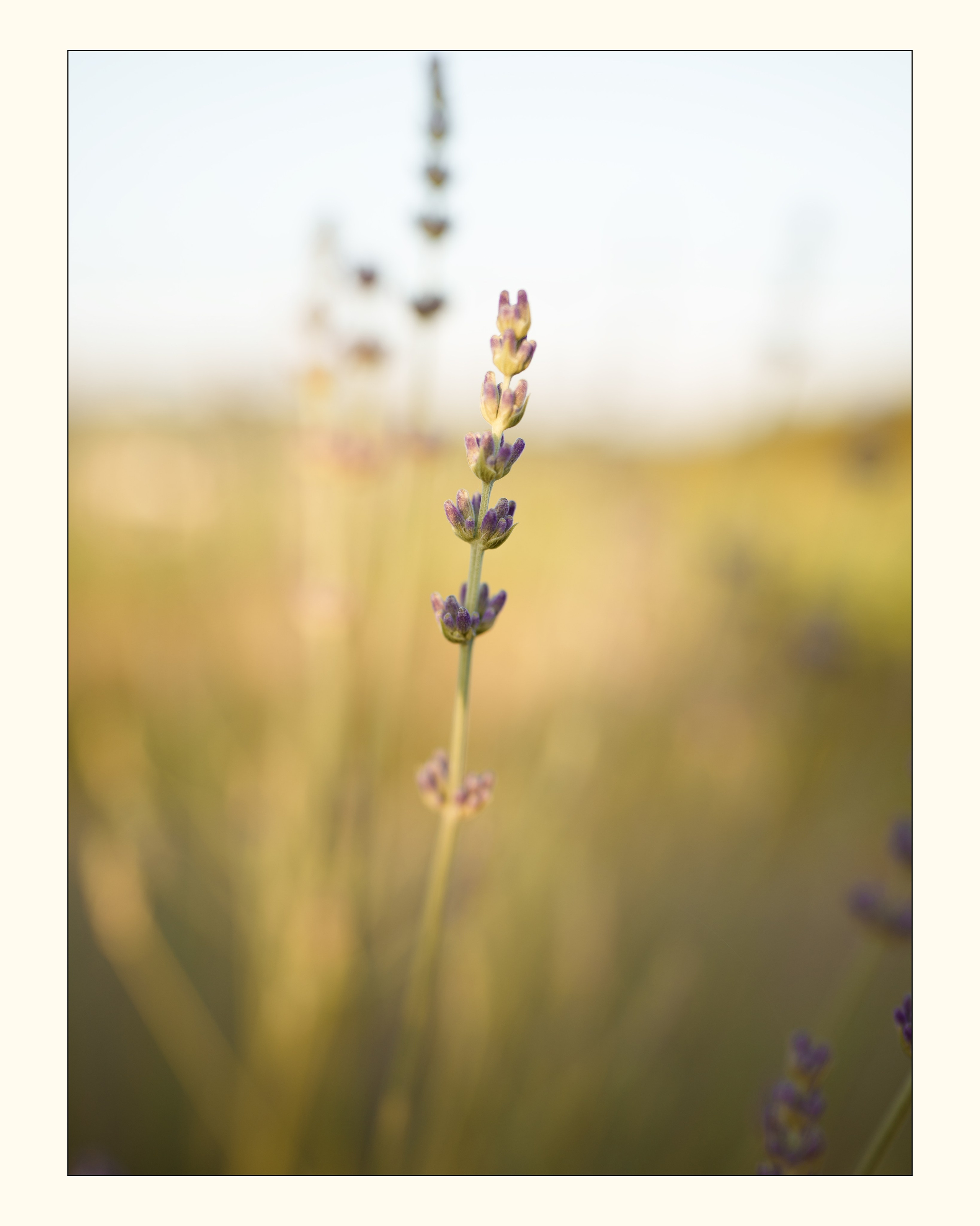 Travel. Visual artist | Fotograf | Stuttgart