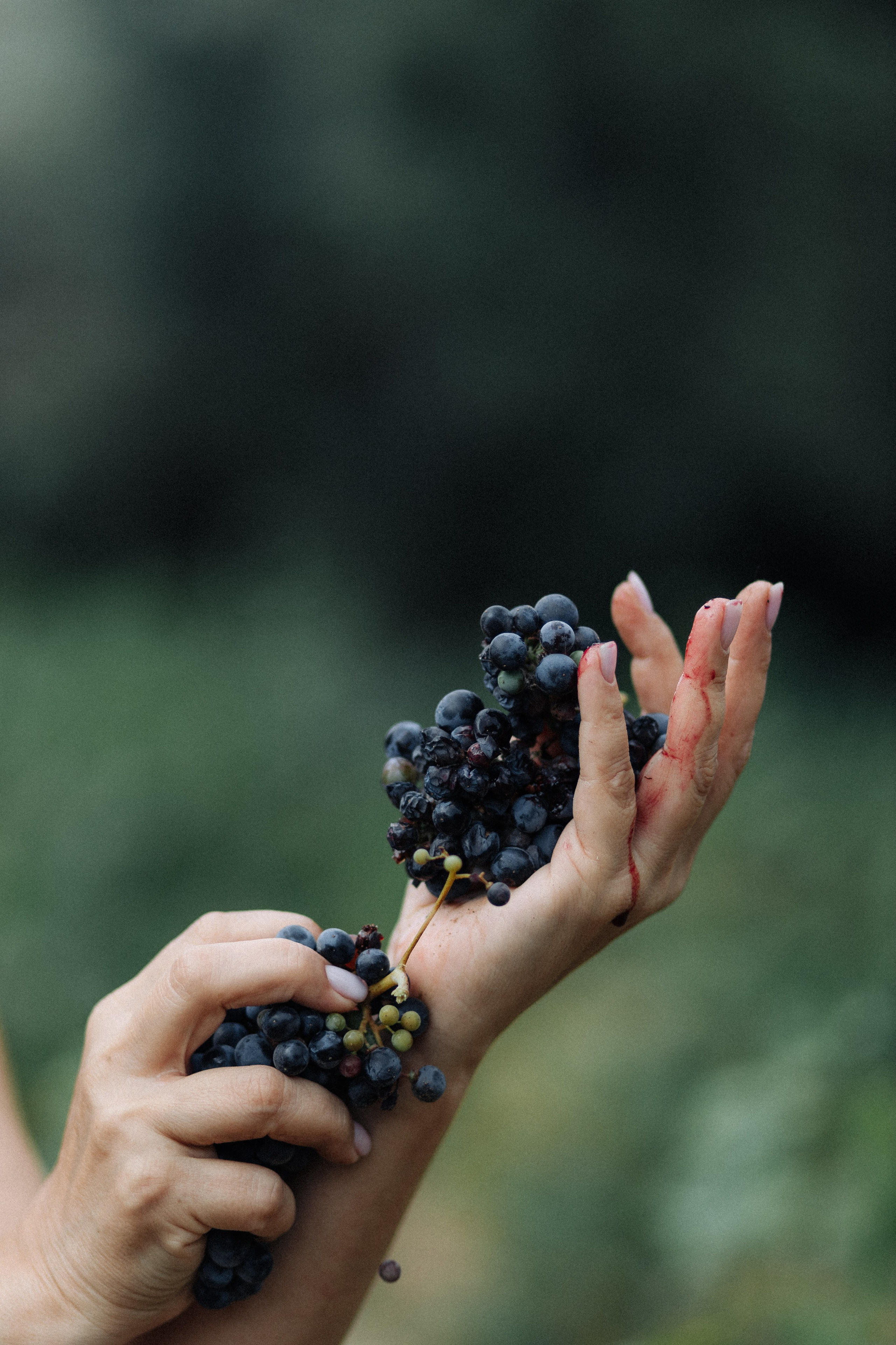 . Фотопрогулки в Стамбуле