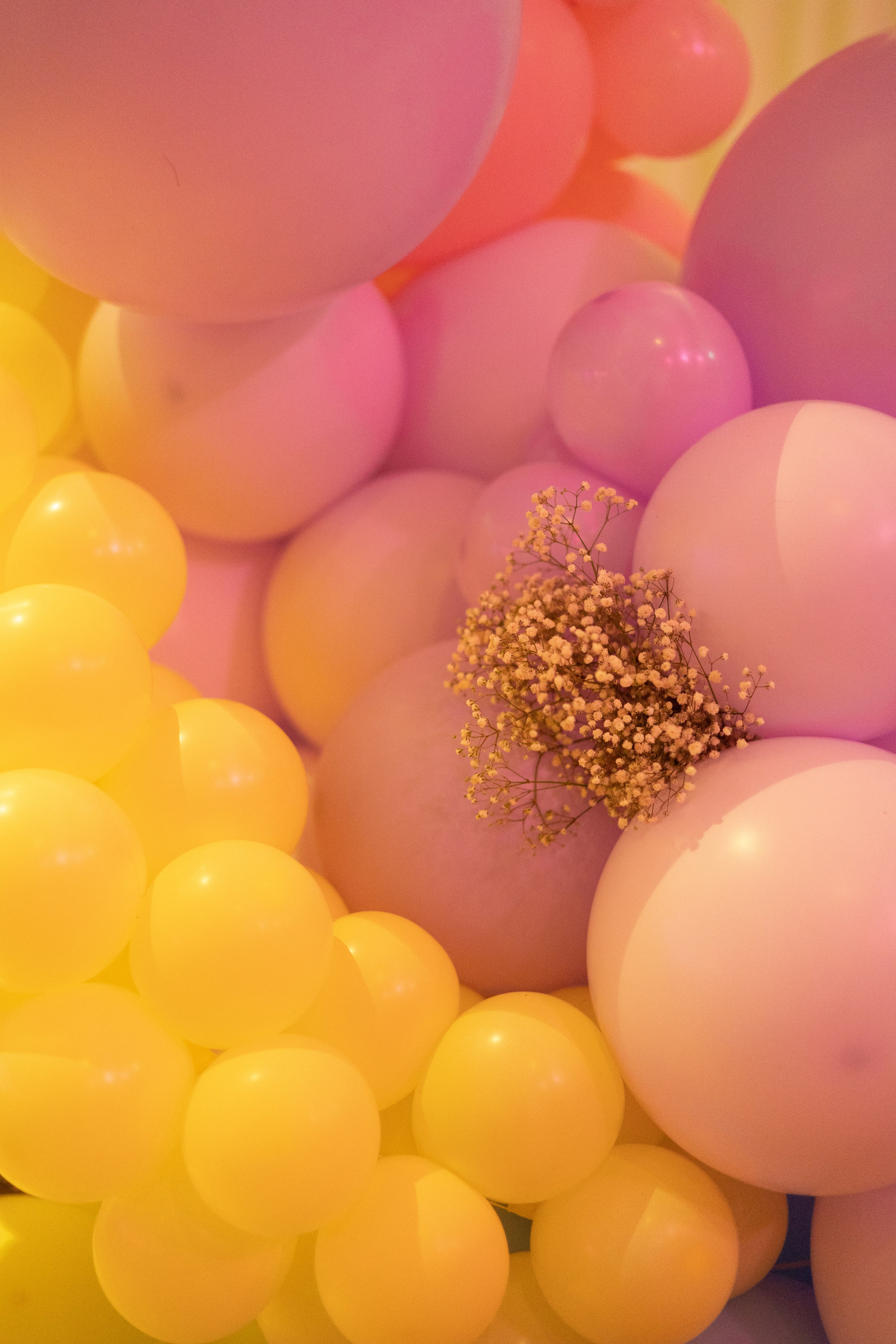 1 st Birthday. Portrait and Family Photographer in Netherlands