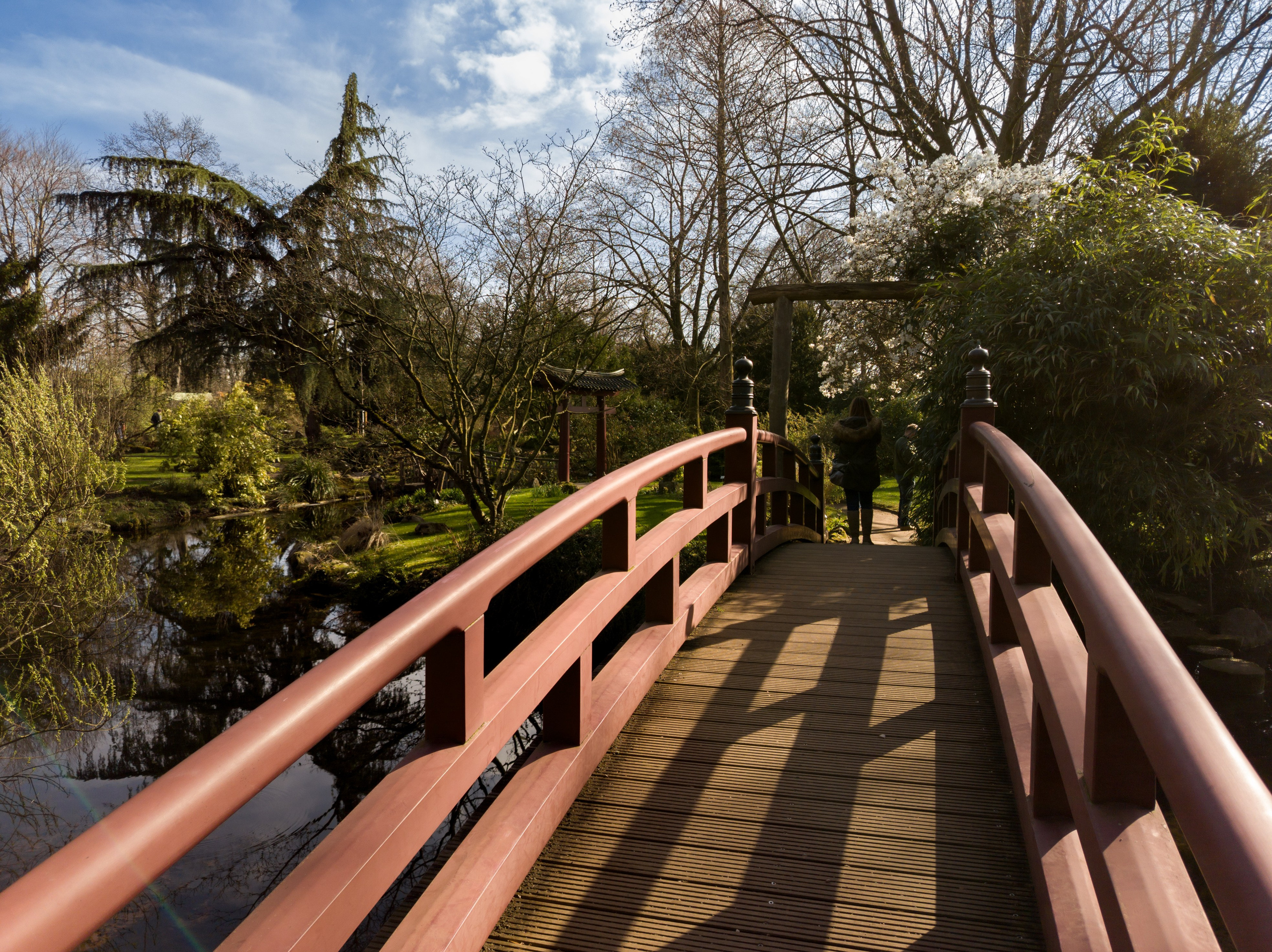 Cologne (Germany) Leverkusen. Fotograf in Köln, Bonn, Düsseldorf, Krefeld