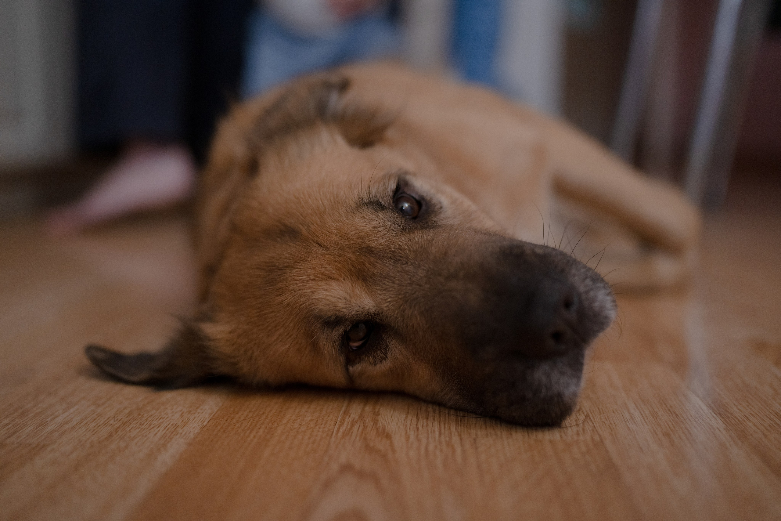 Alena, Vlad and their son Lev. Main