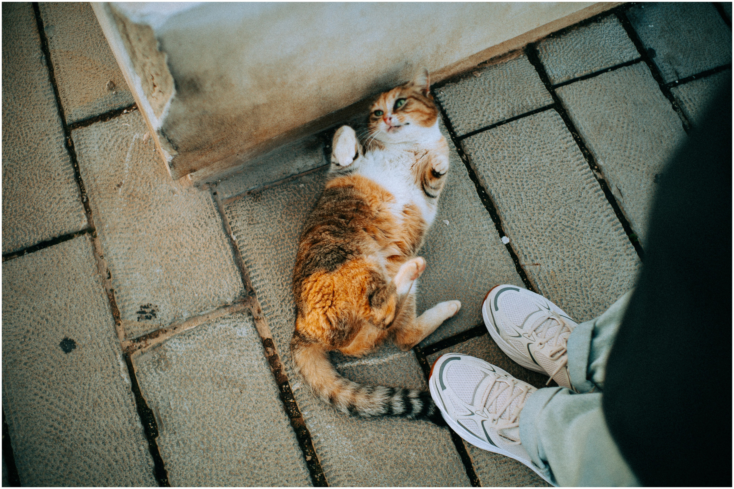 PALERMO. Photographer Inna Mendelson